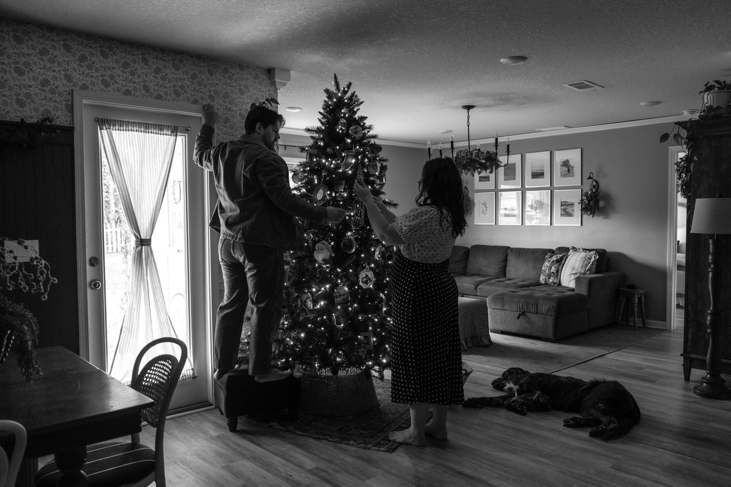 Black and white photo of couple decorating Christmas tree indoors with dog resting on hardwood floor nearby.