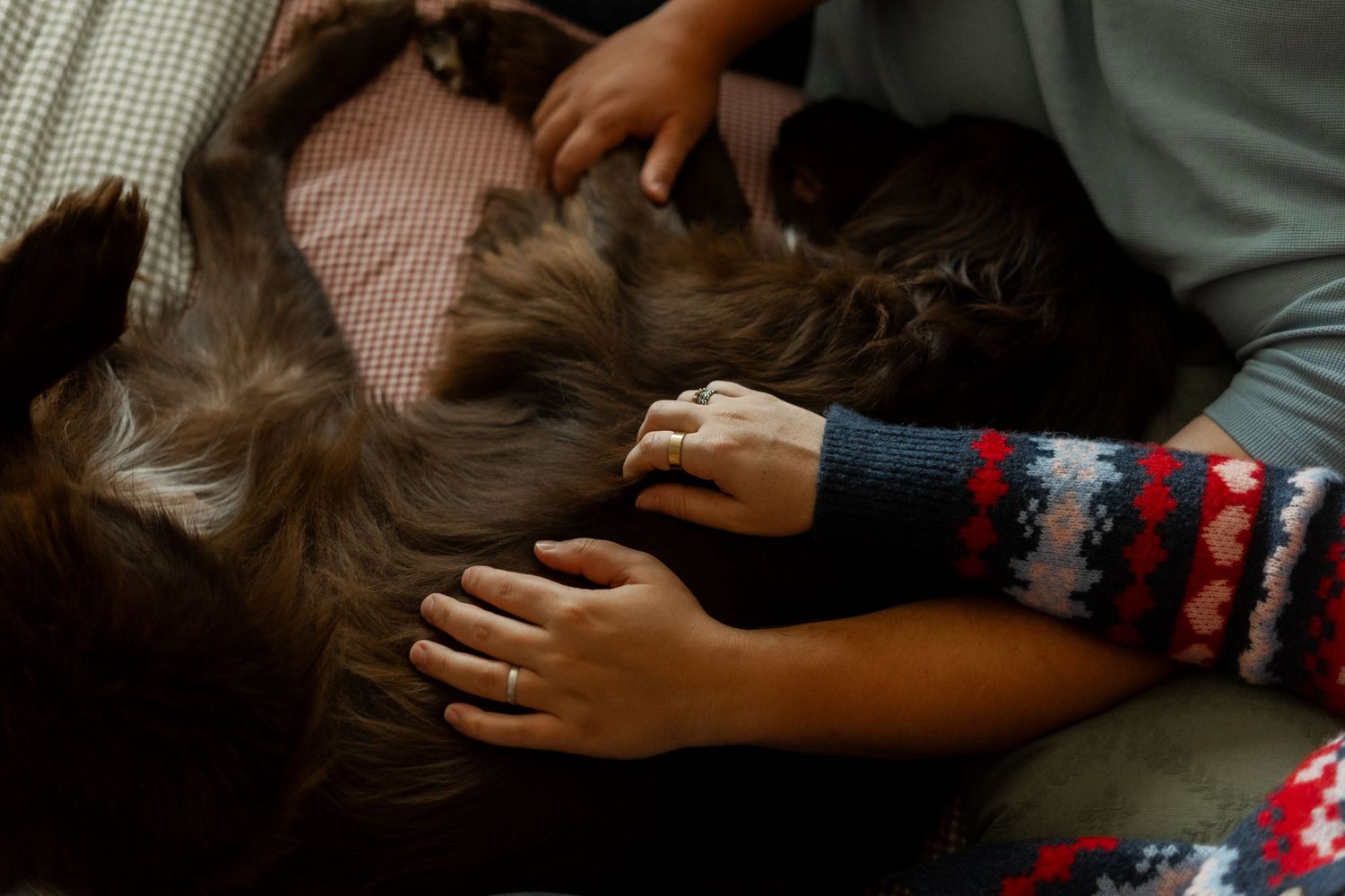 Two children petting a large fluffy dog lying on a bed, wearing cozy sweaters in a warm indoor setting.