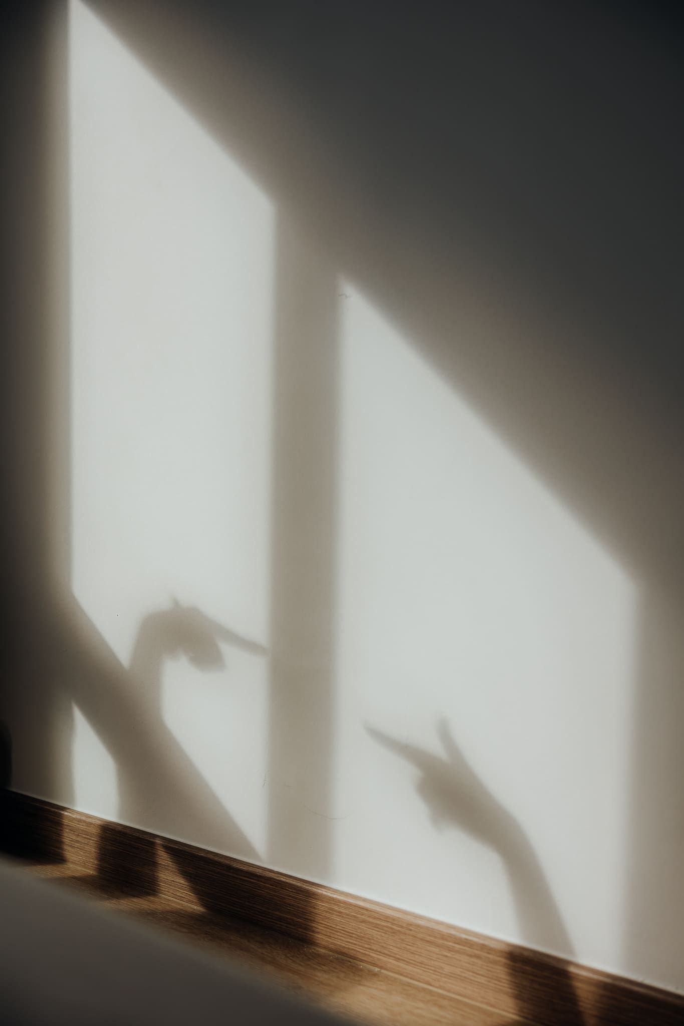 Dramatic shadows cast on a white wall creating abstract patterns and shapes.