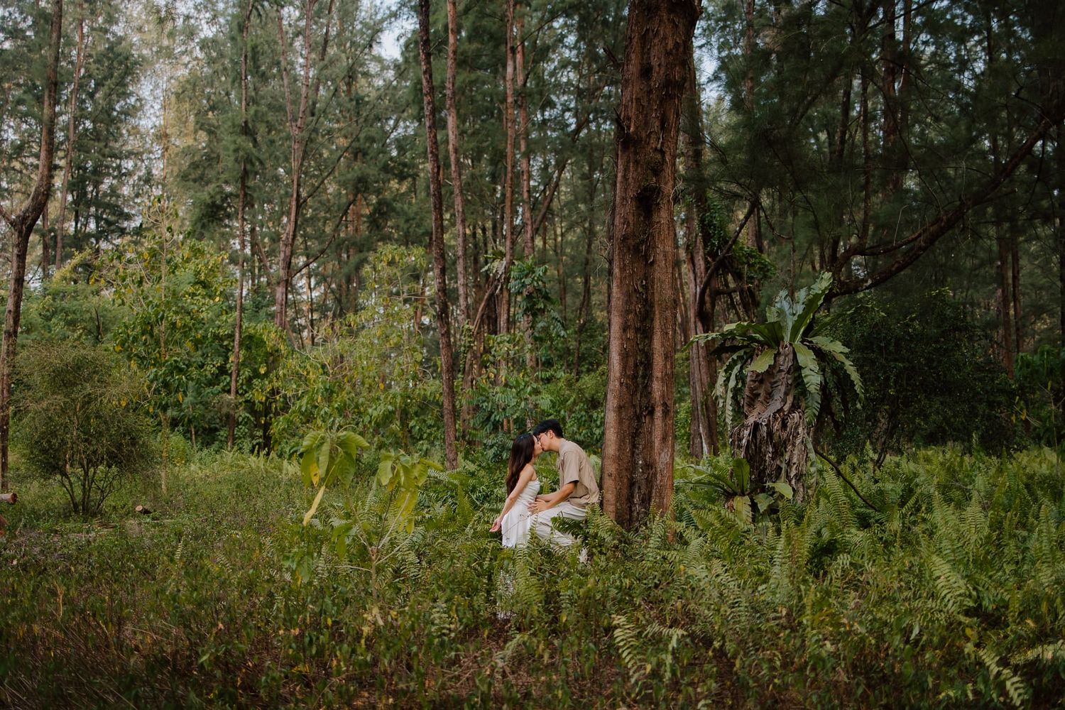Bride in white dress sitting among lush green ferns and tall trees in a serene forest setting.