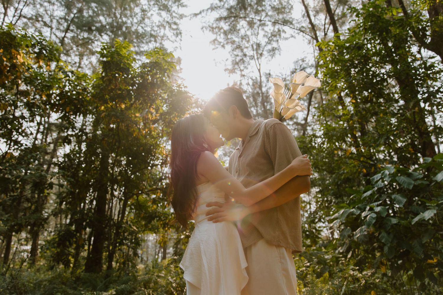 Couple sharing a kiss in a sunlit forest, surrounded by green foliage and warm light.