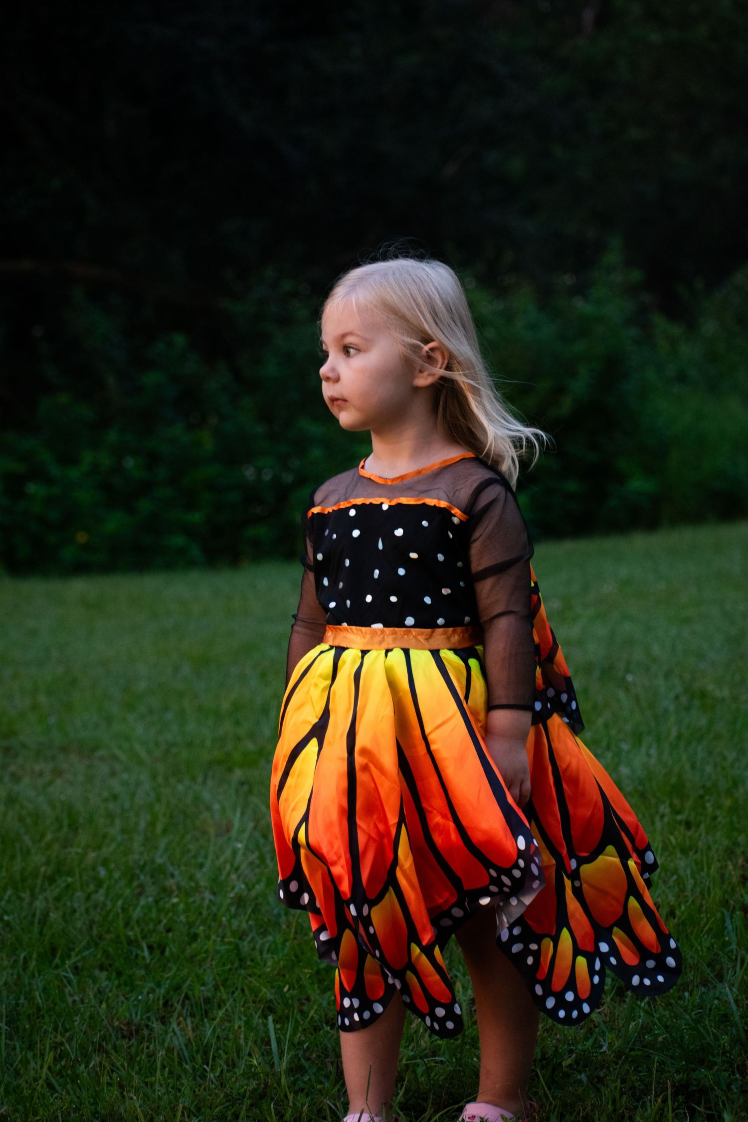 Young girl in monarch butterfly costume dress stands on green grass at dusk.
