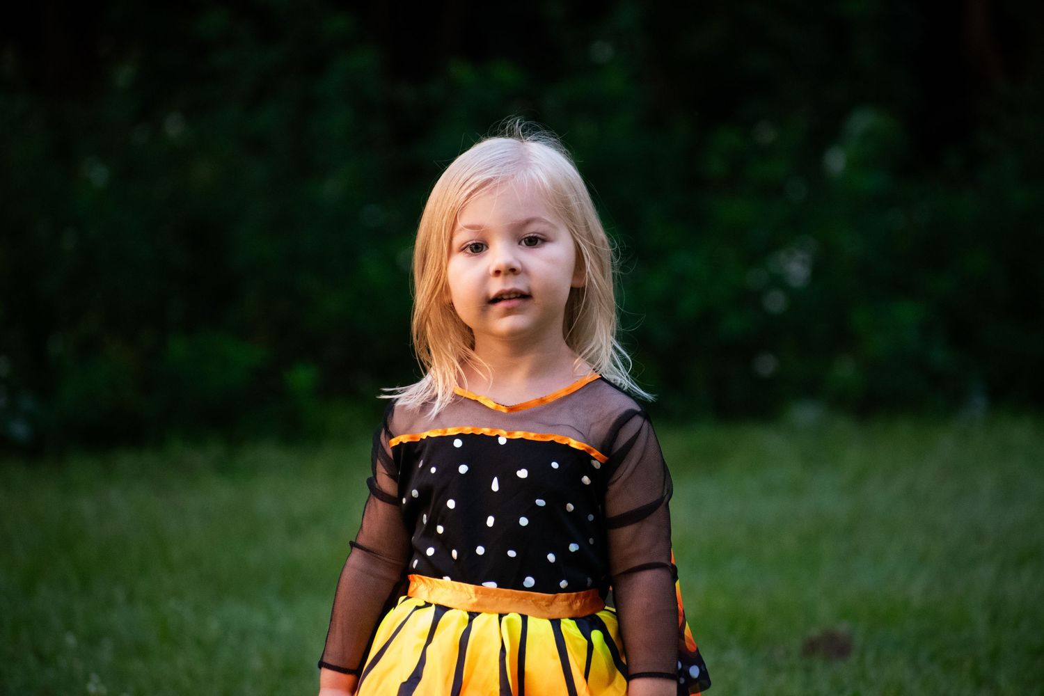 Adorable blonde toddler girl wearing black and yellow butterfly costume dress standing on green grass.