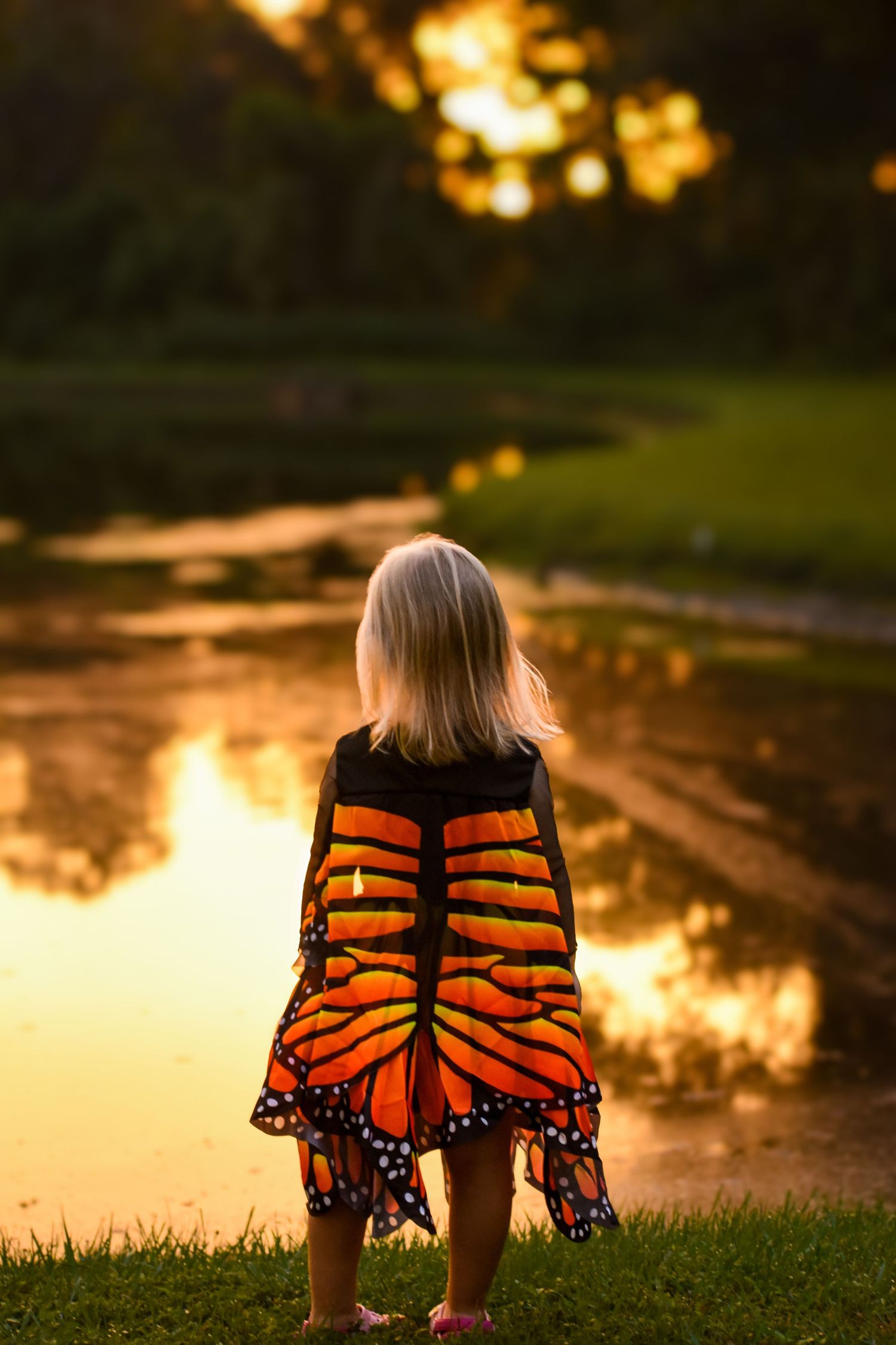 Little girl wearing monarch butterfly costume standing by a golden sunset reflecting pond.