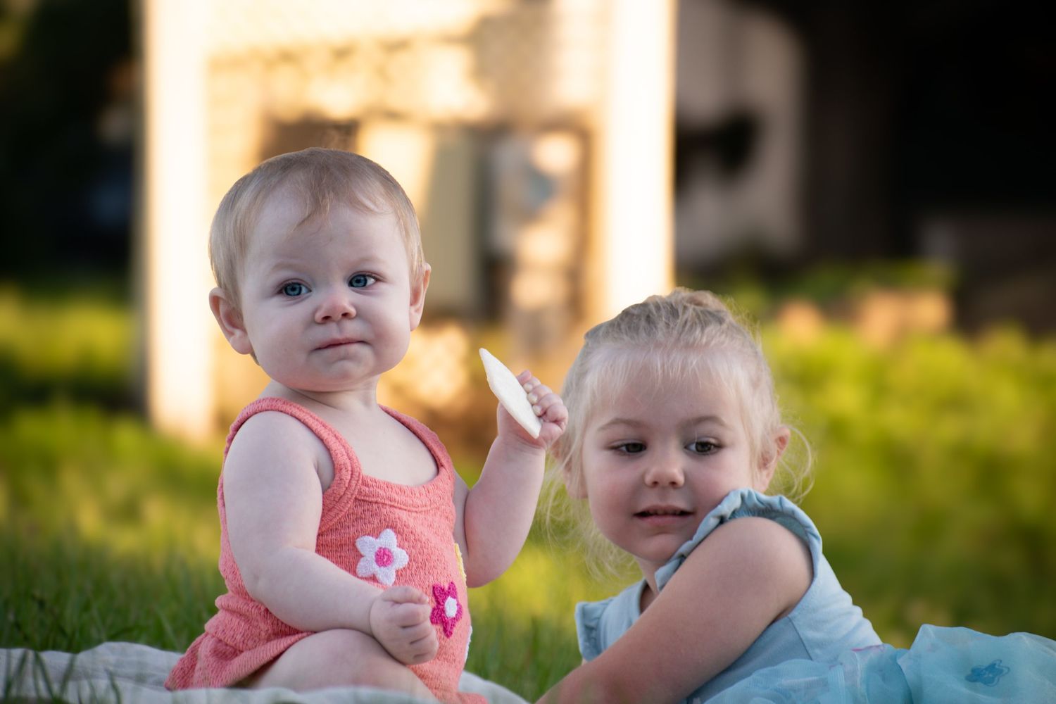 Two young blonde sisters sitting on grass in golden sunlight, baby in pink and toddler in blue dress.