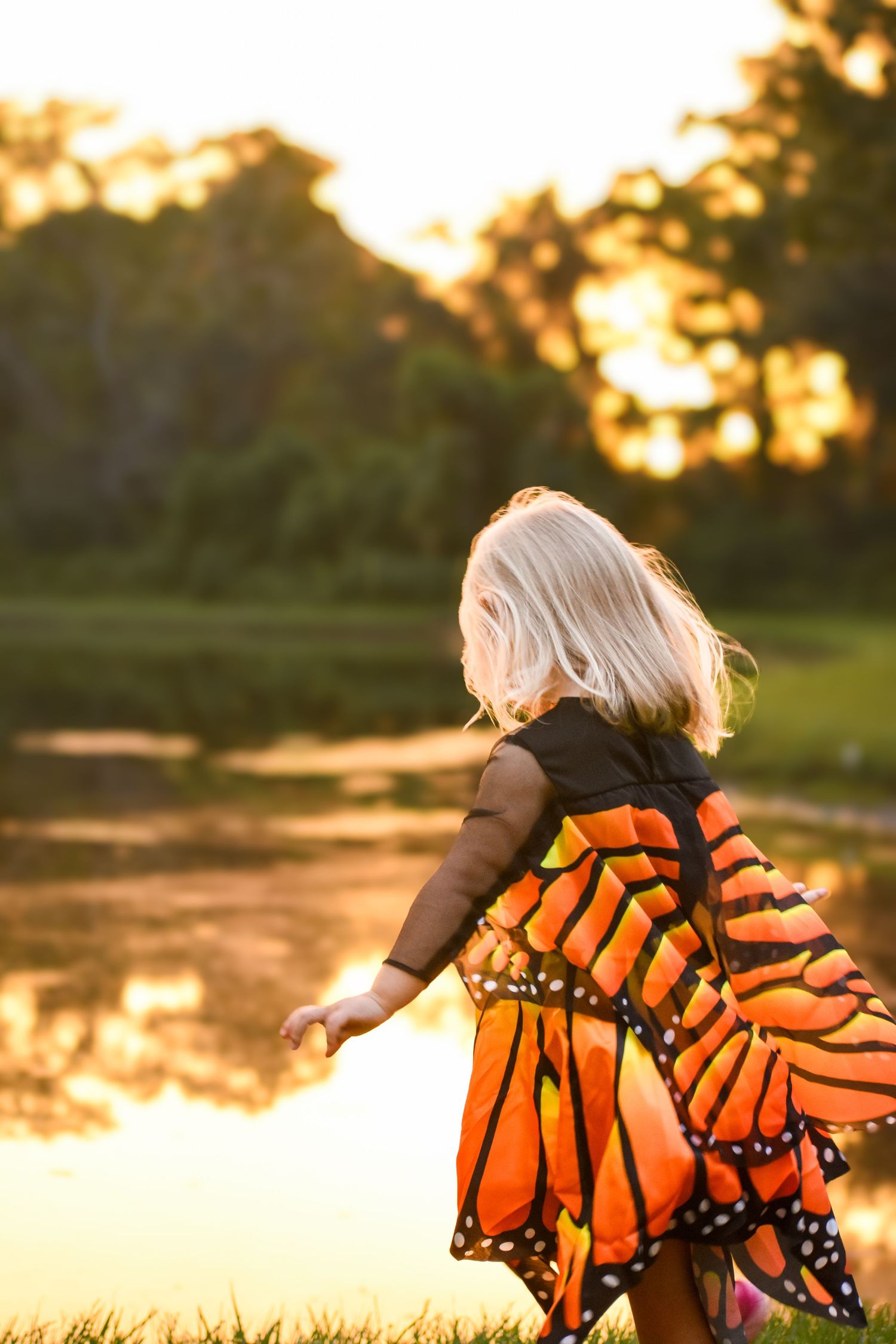 Blonde toddler in monarch butterfly wings costume spinning near a glowing sunset pond.