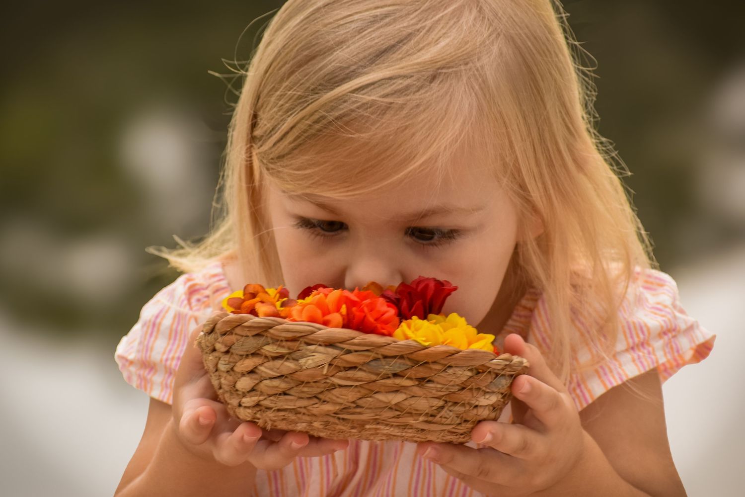 Young blonde girl smelling colorful red and yellow flowers in a small wicker basket.