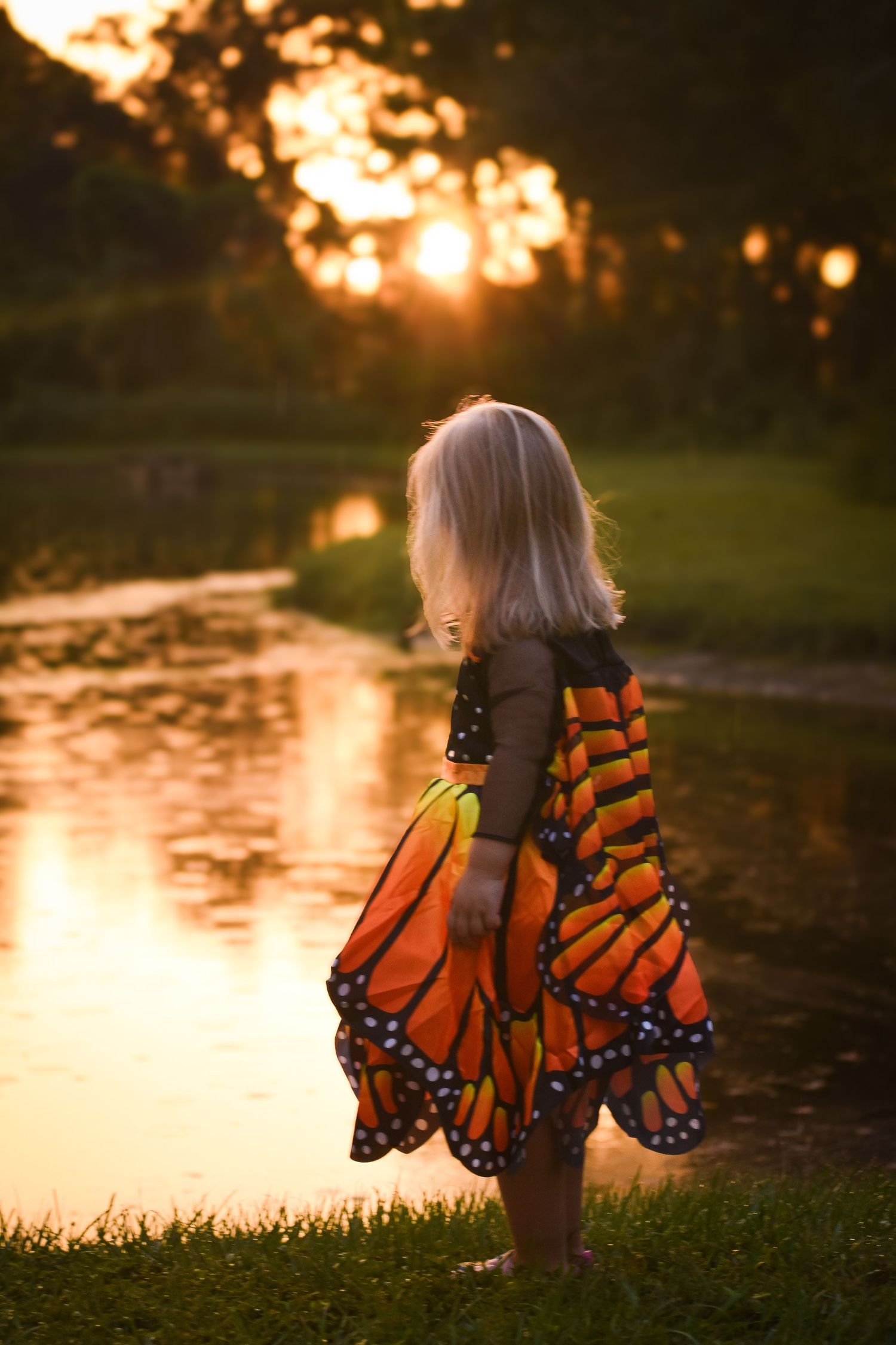 Little girl in monarch butterfly wings costume watching a stunning golden sunset by a pond.