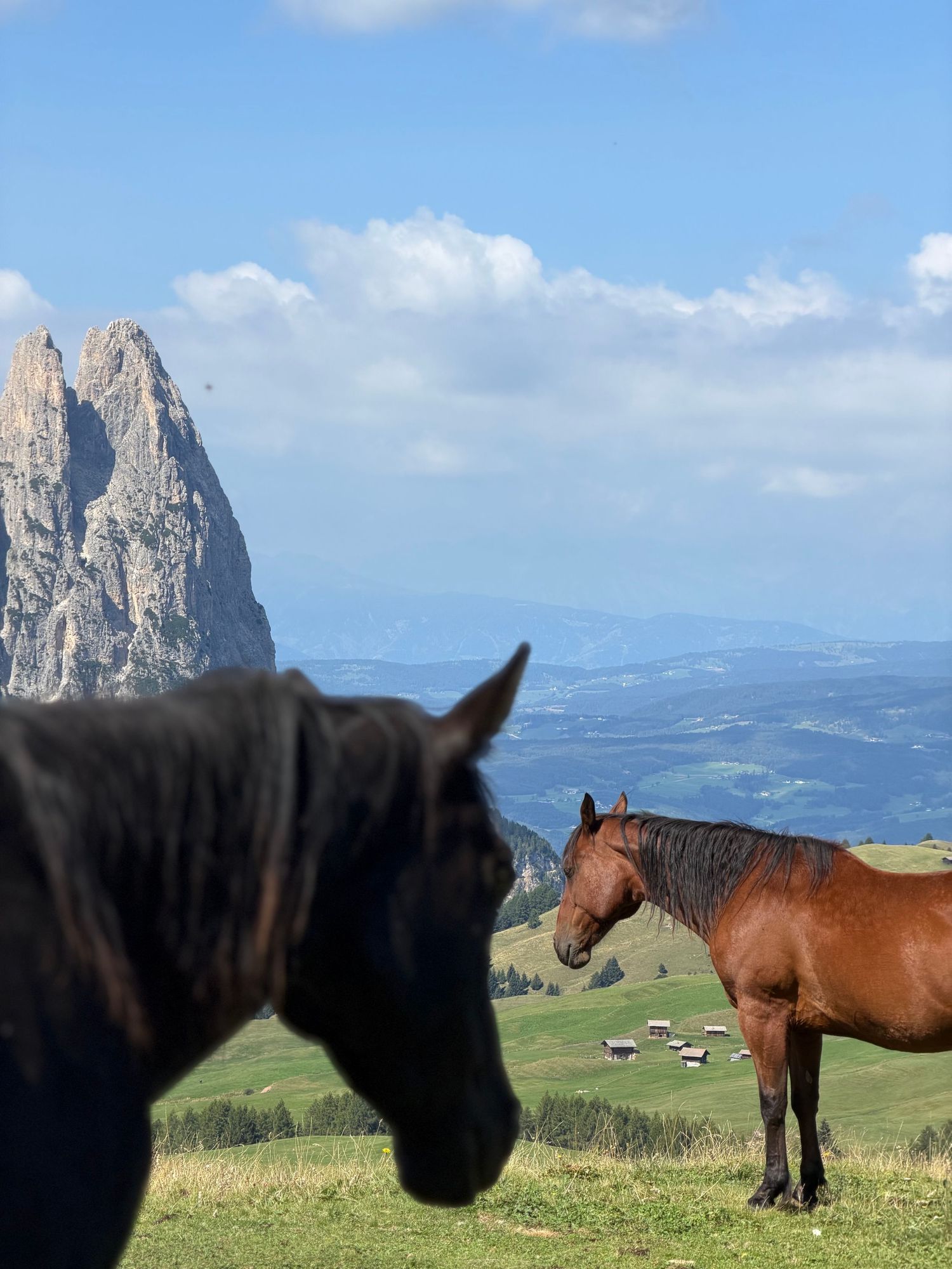 The Dolomites