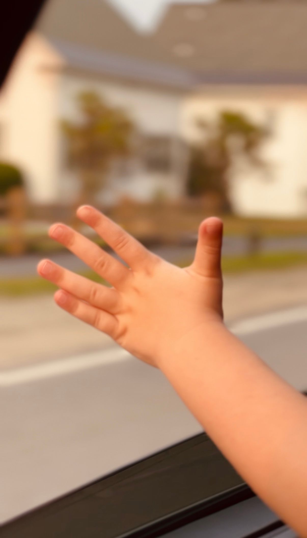 Hand Out Window Nostalgia