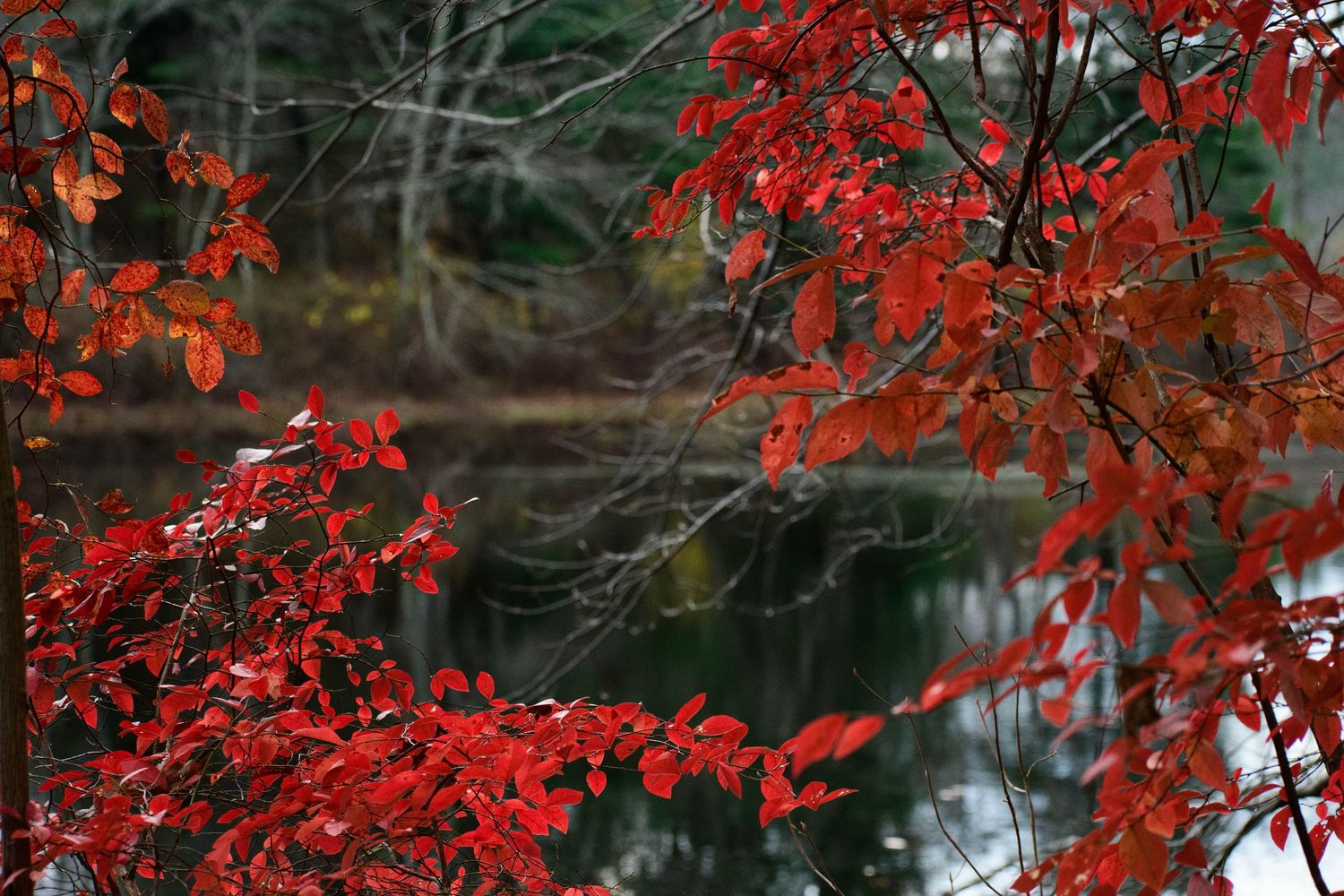 Nature photograph capturing natural scenery