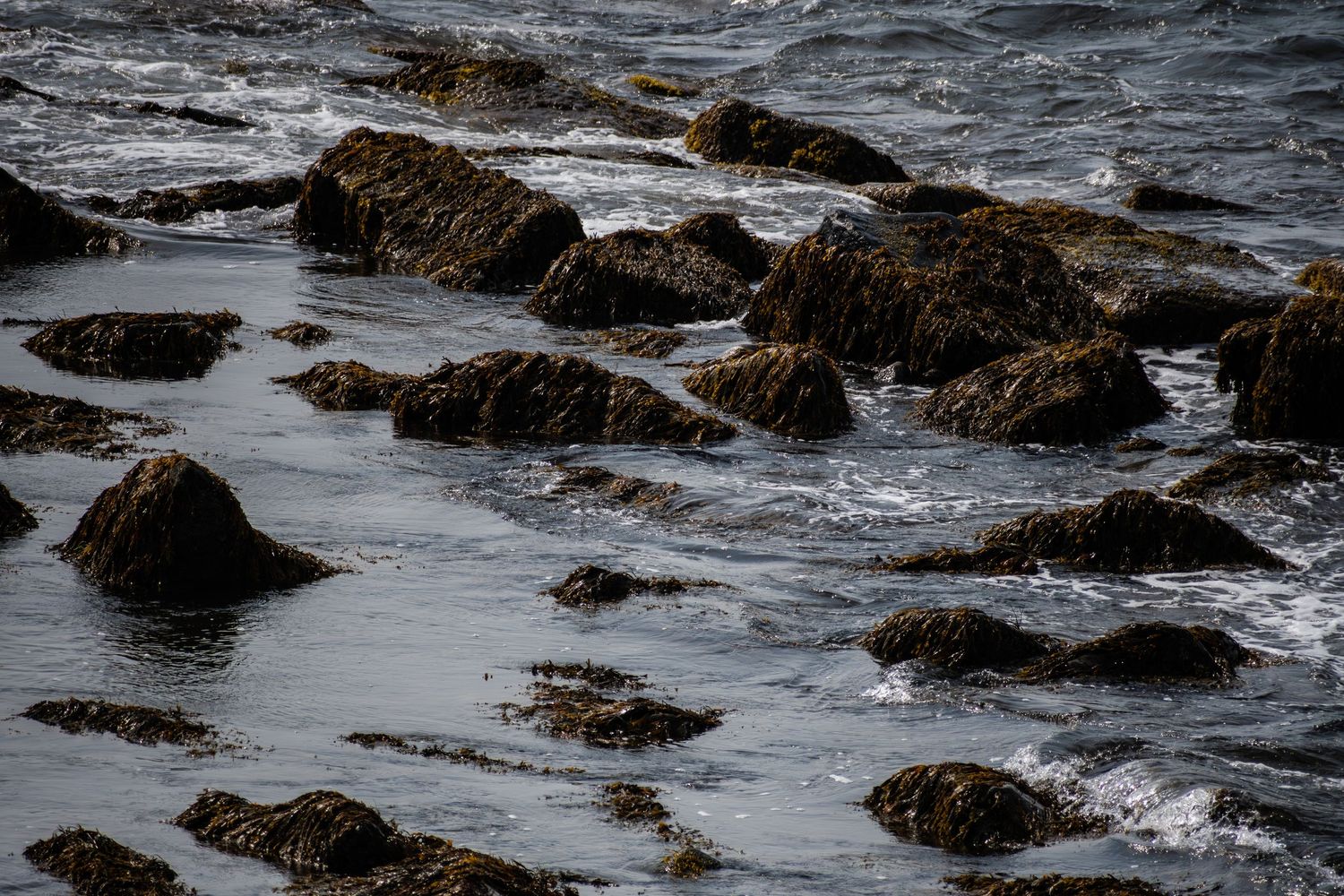 Nature photograph capturing natural scenery of ocean rocks