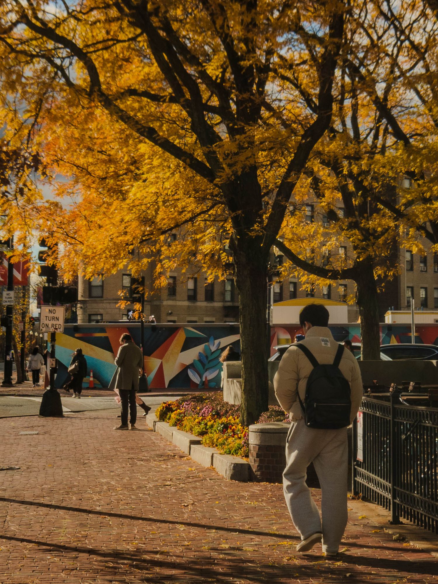 Capturing natural scenery of the city in the fall