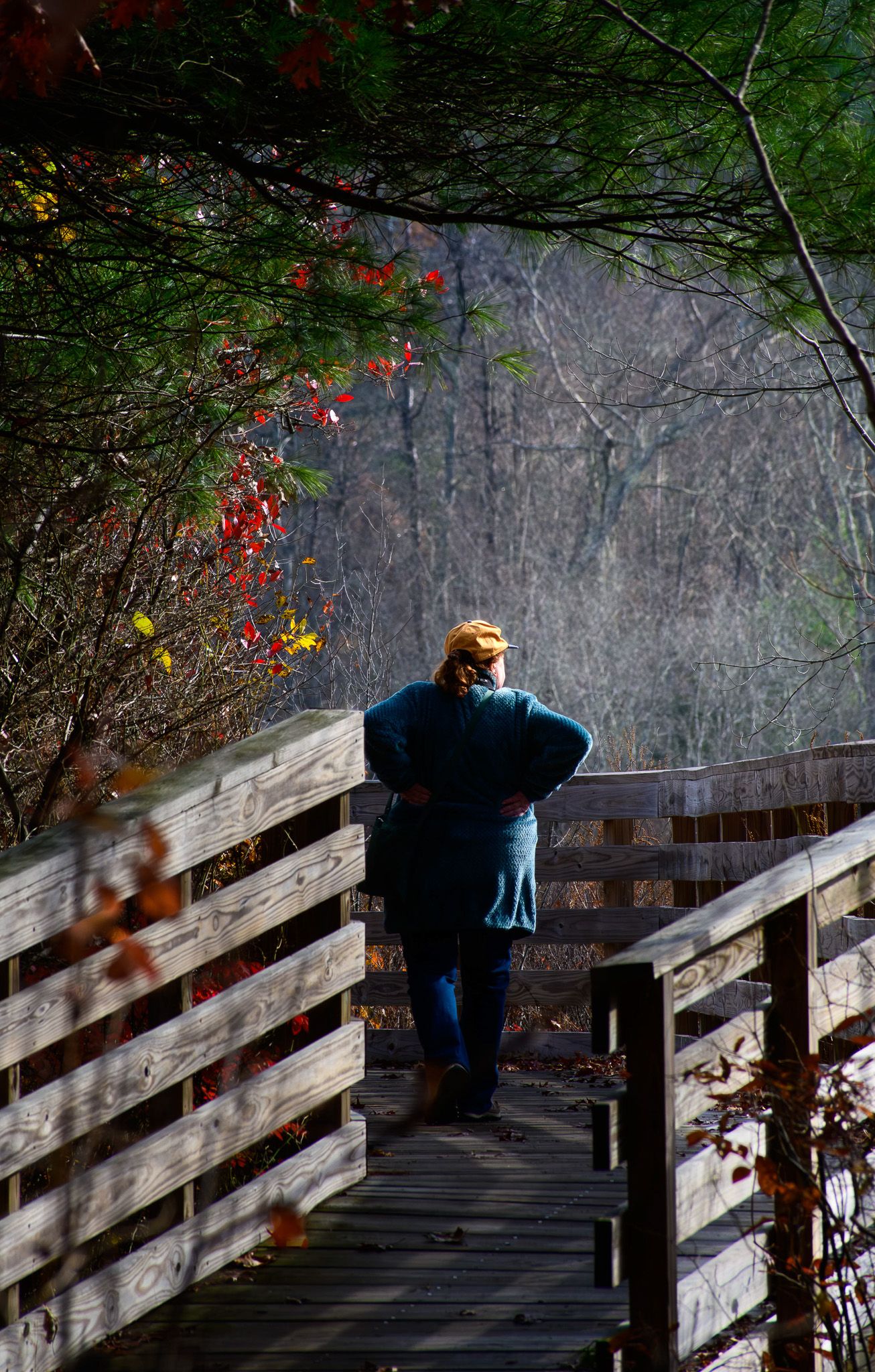 Candid moment of a Bird watcher