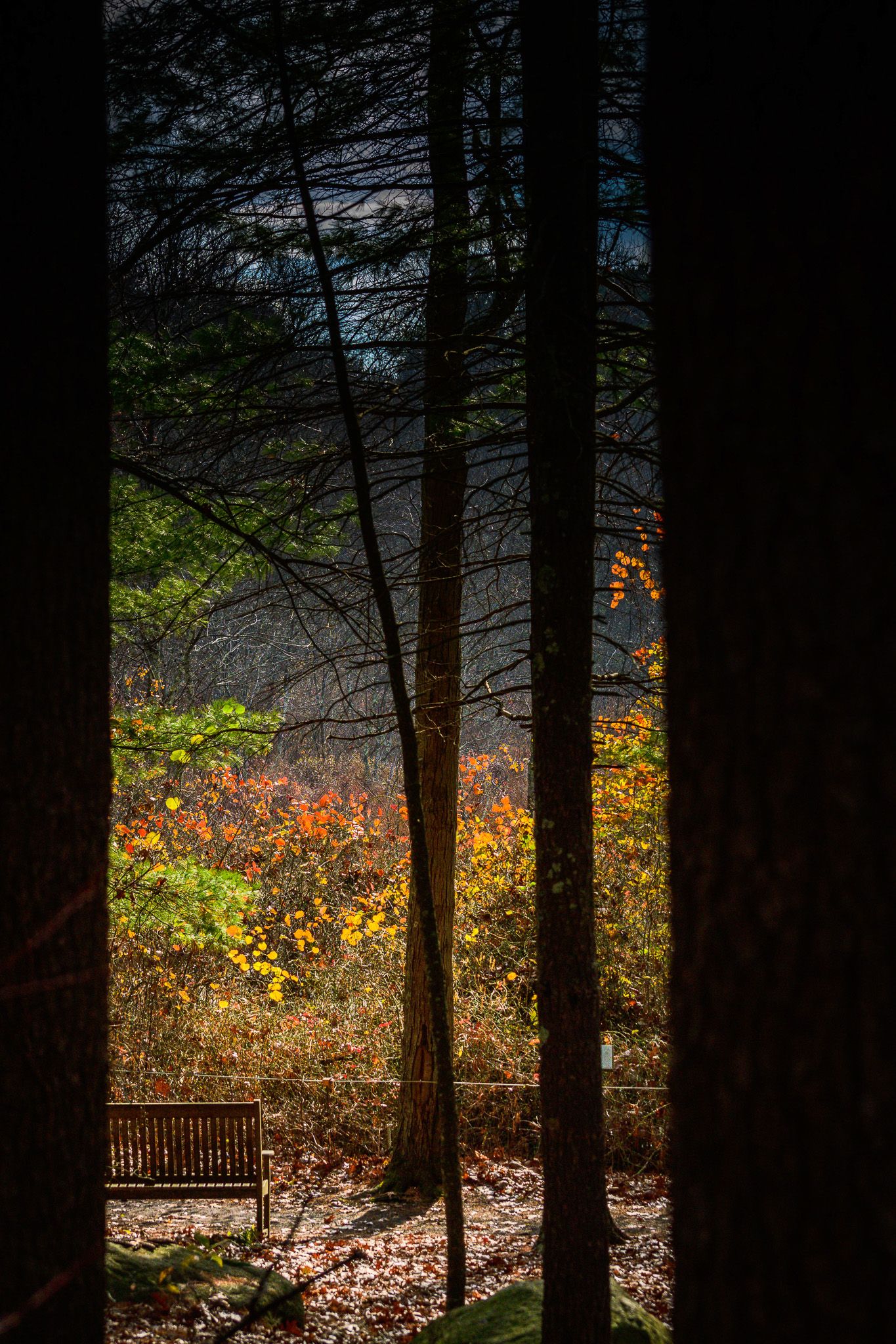 A solitary bench contemplatively facing the soft glow of light, evoking a sense of quiet solitude and hopeful anticipation
