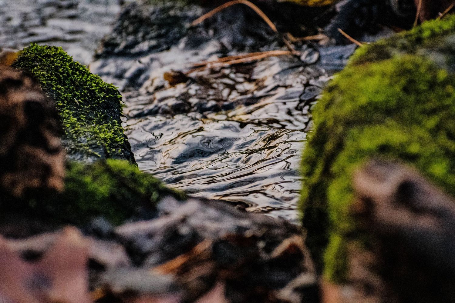 Nature photograph capturing natural scenery of river rock