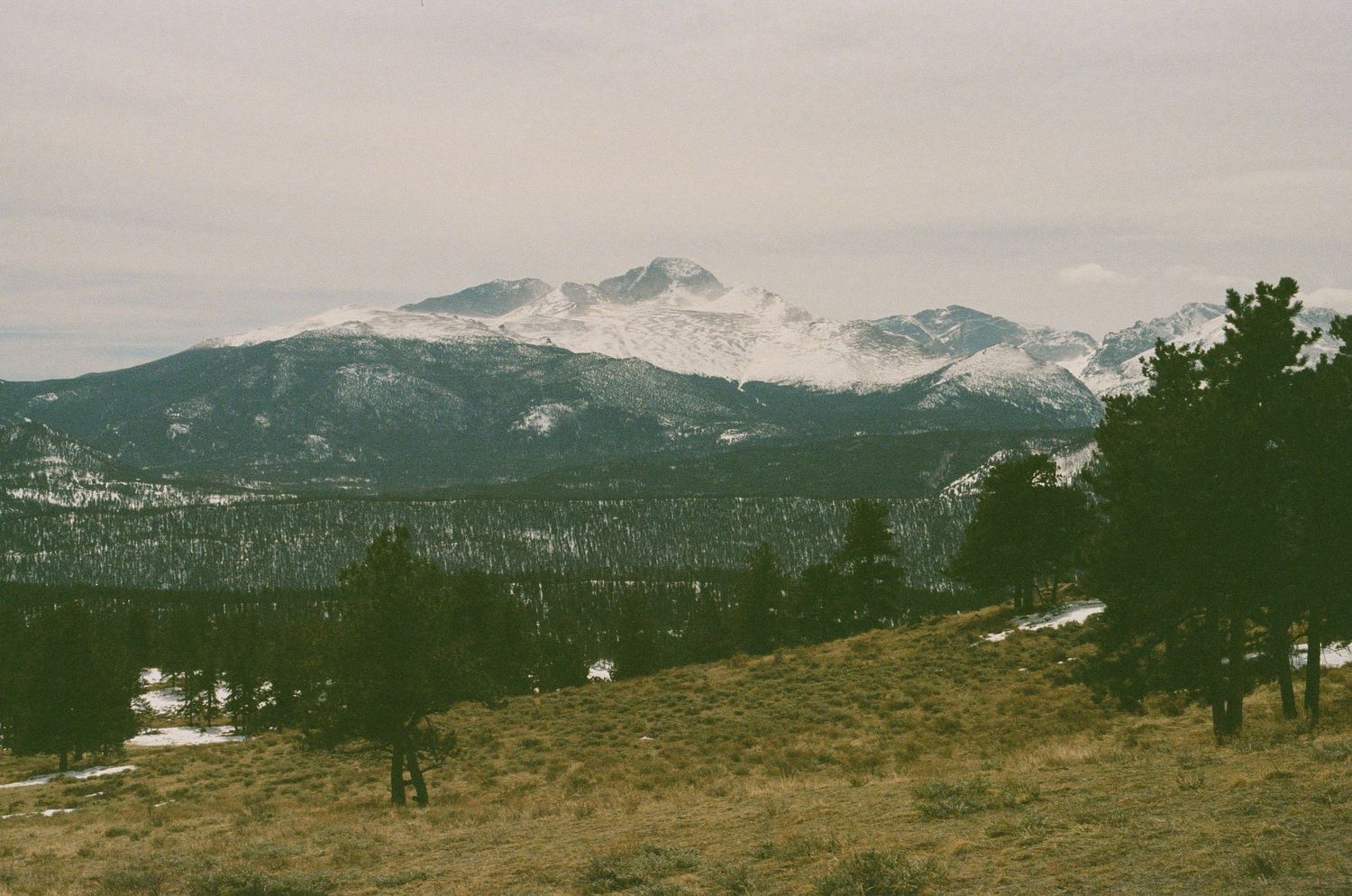 Panoramic mountain landscape view with snow-capped peaks and evergreen forest.