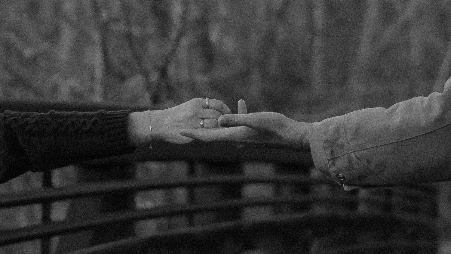 Black and white detail shot of wooden fence in nature.