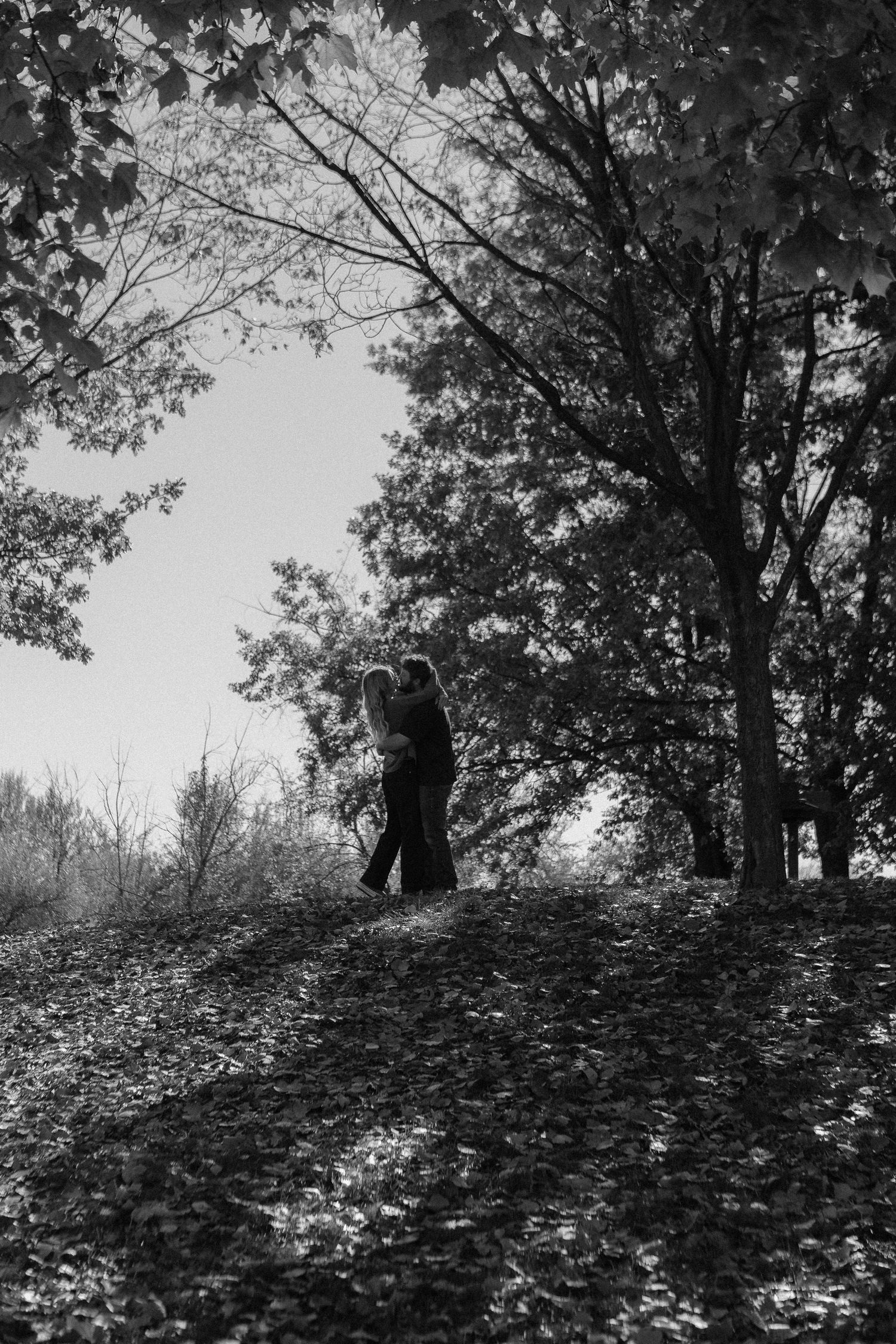 Two silhouettes embrace on a hill beneath towering trees at dusk.