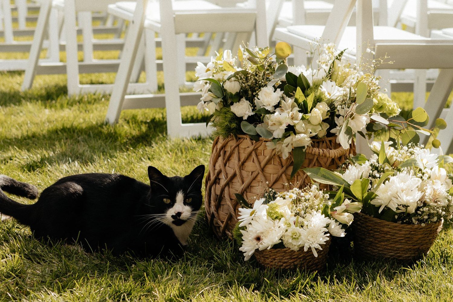 White floral arrangements and rustic decor line a wedding ceremony aisle on grass.