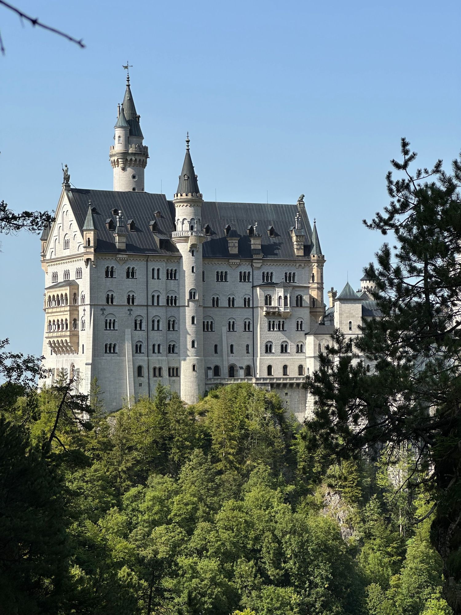Majestic Neuschwanstein Castle rising above green forest in Bavaria.