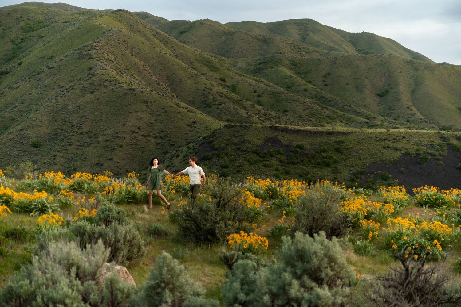 Small white house nestled in mountain landscape with yellow wildflowers and sagebrush in foreground.