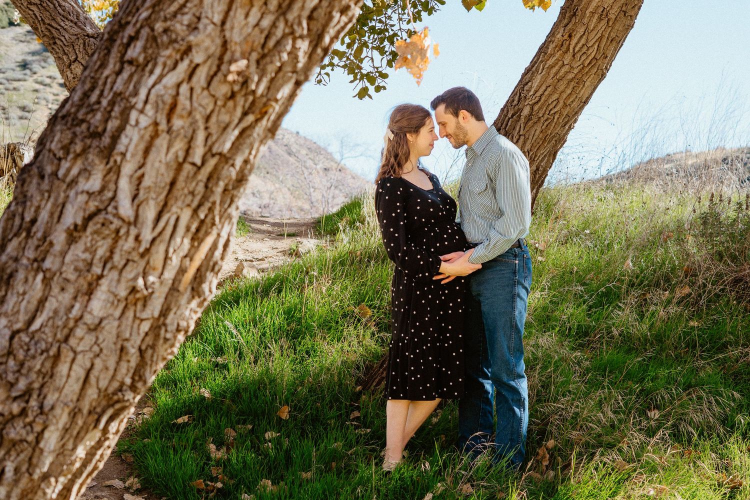Expecting couple standing between two trees on grassy hillside, foreheads touching.