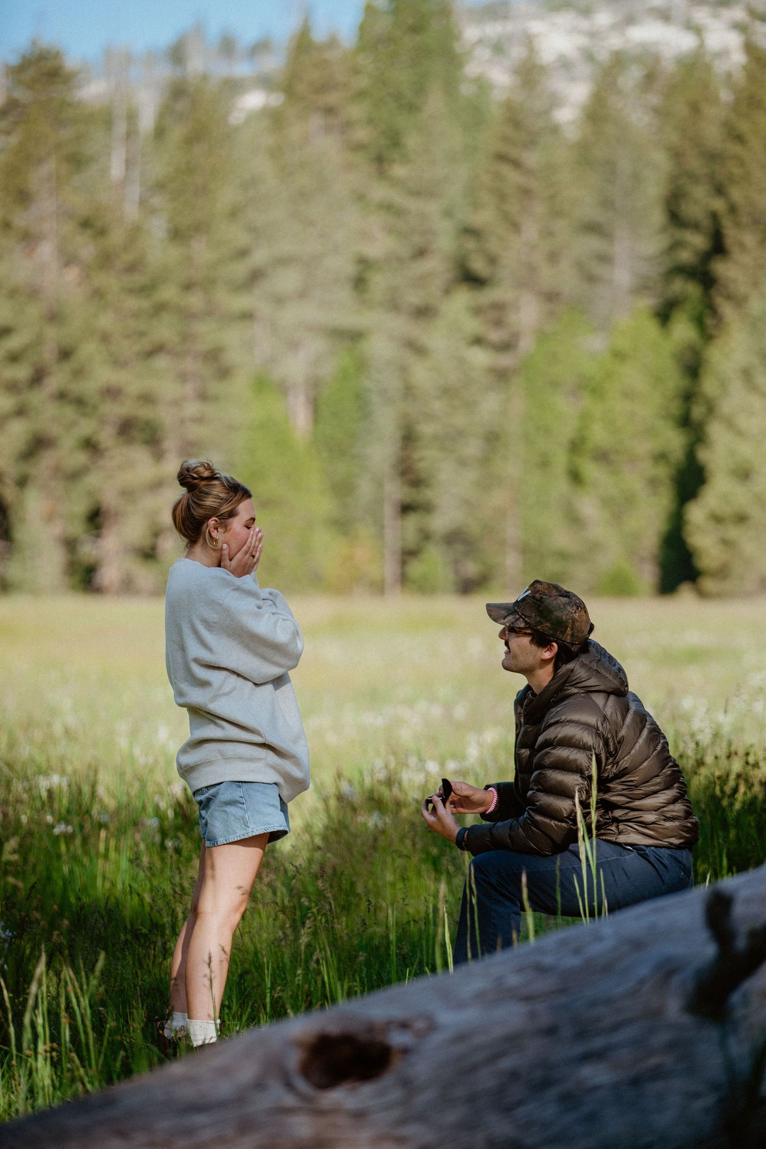 A man kneeling on one knee proposing to a woman in a lush green meadow surrounded by pine trees.