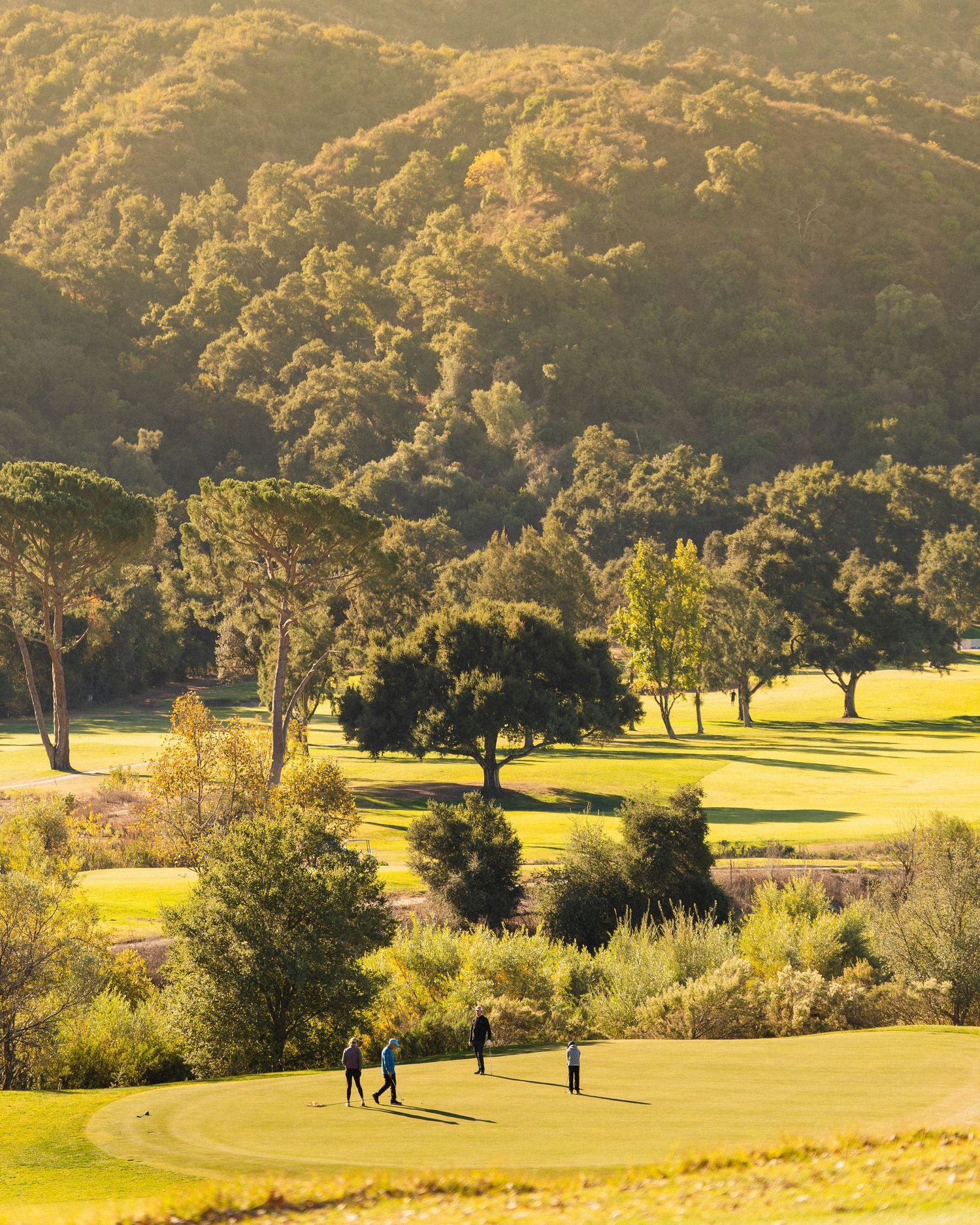 Golfers walking on lush green fairway surrounded by golden sunlit trees and rolling hills at sunset.