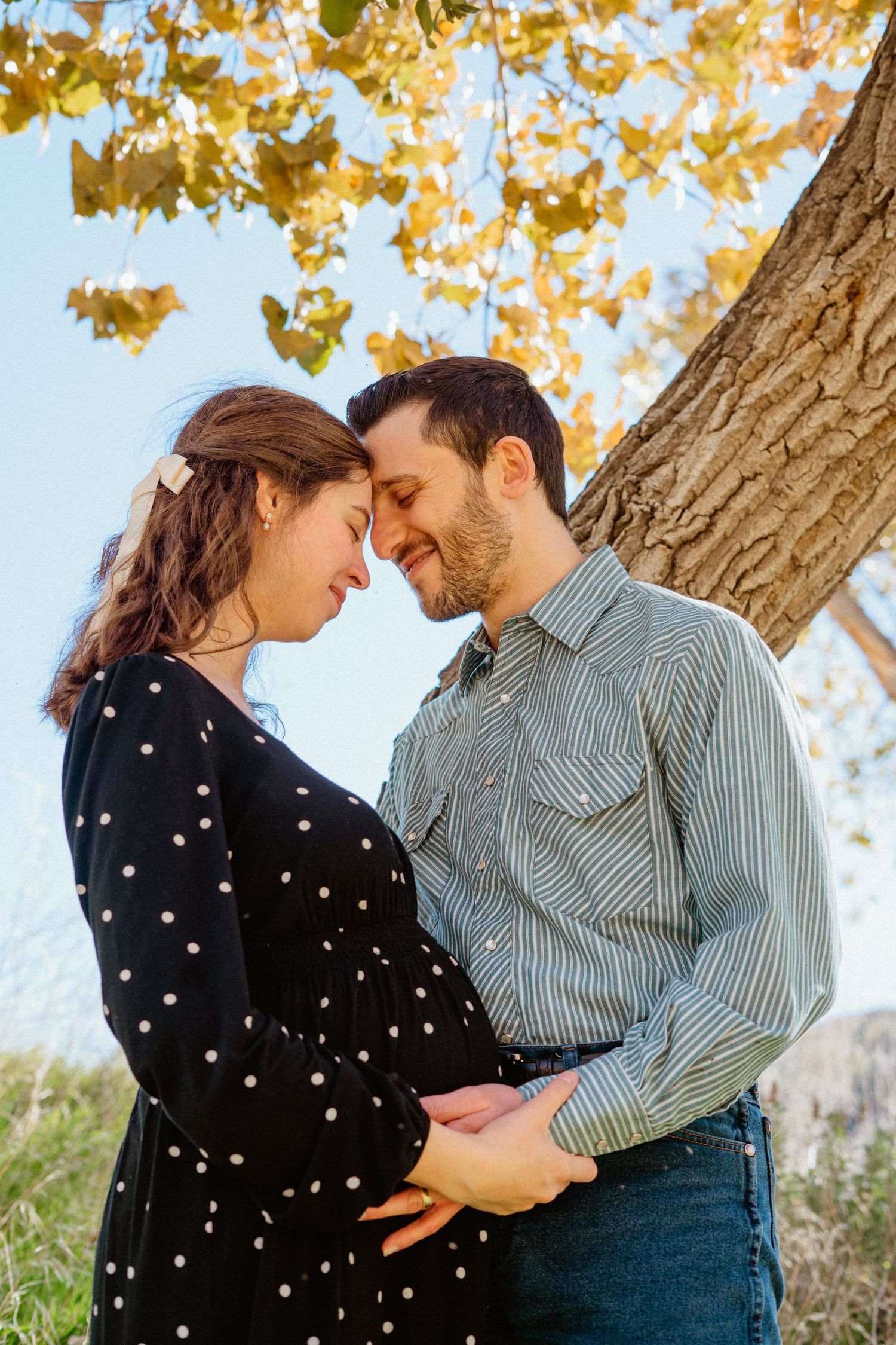 Pregnant couple embracing tenderly under golden autumn tree, touching baby bump.