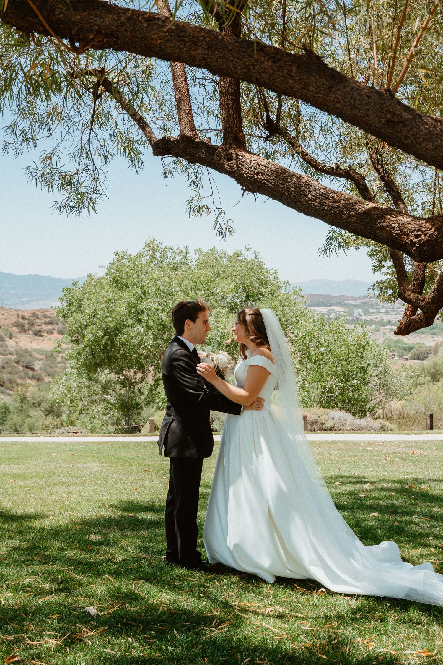 Bride and groom share a romantic moment under a tree with scenic valley views on their wedding day.