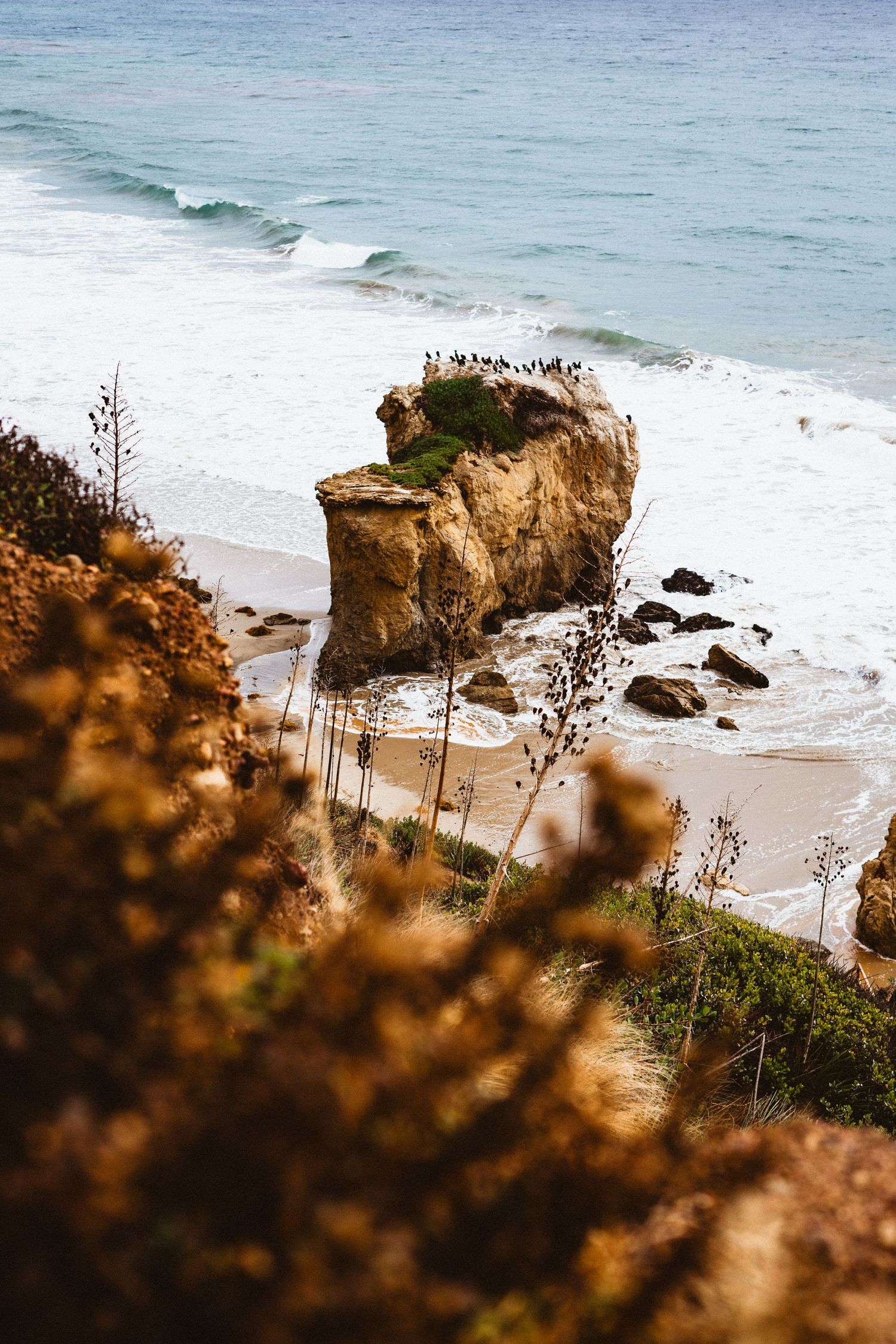 Aerial view of a rocky sea stack on a sandy beach with crashing waves and coastal vegetation in the foreground.