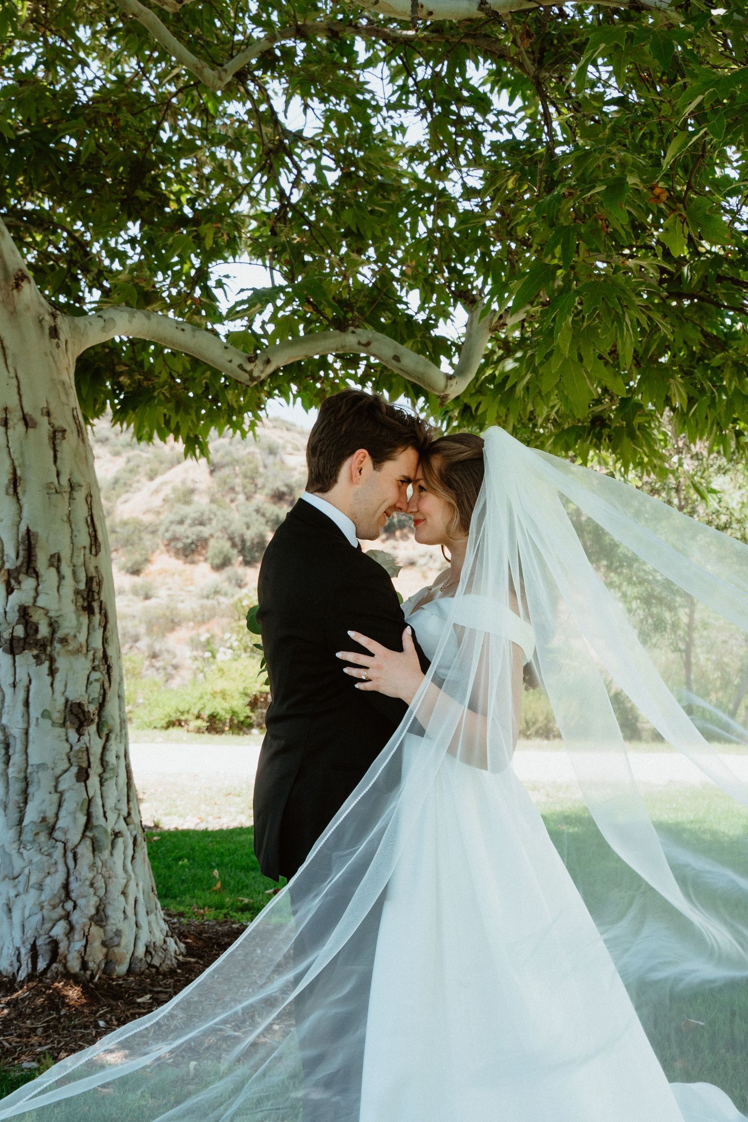 Bride and groom share romantic moment under tree, her veil flowing, foreheads touching in outdoor wedding portrait.