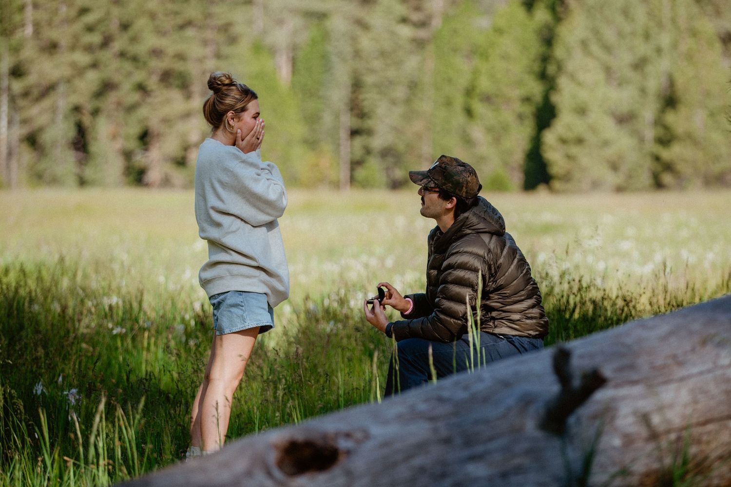 Man kneeling to propose to woman in a lush green meadow surrounded by tall trees.