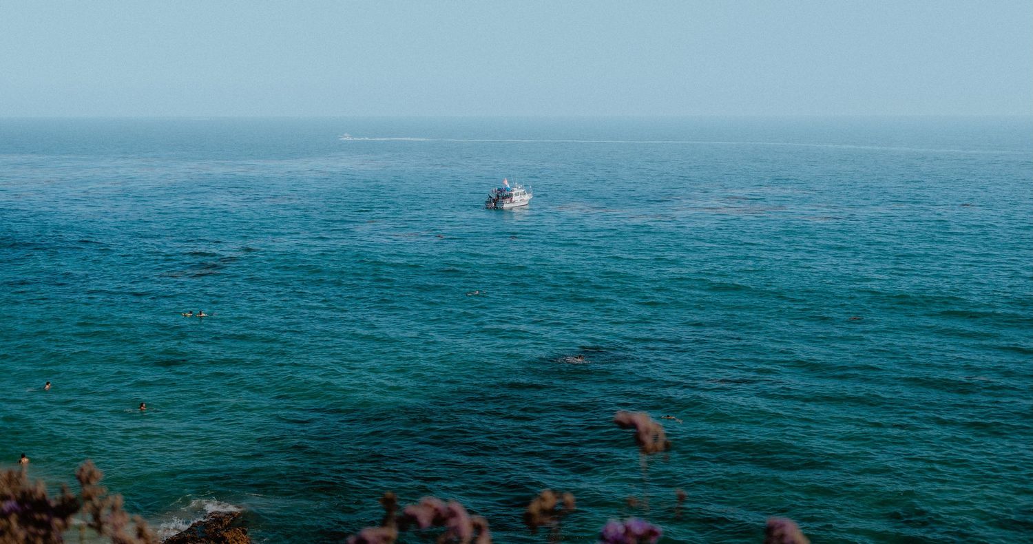 A white boat sails in the distance, surrounded by blue-green waters with some flowers in the foreground.