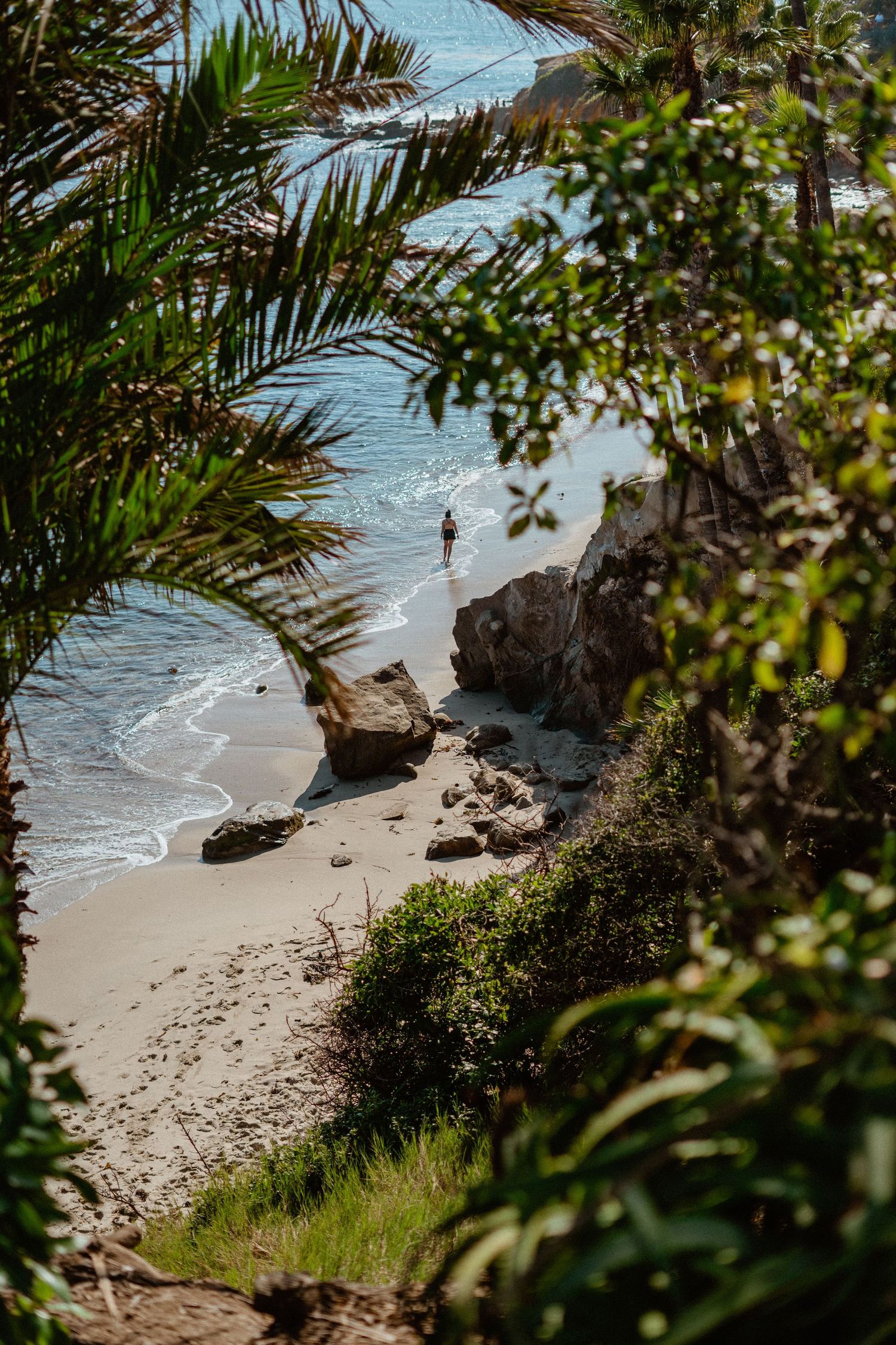 Secluded sandy beach cove with rocks and palm trees viewed through tropical foliage.