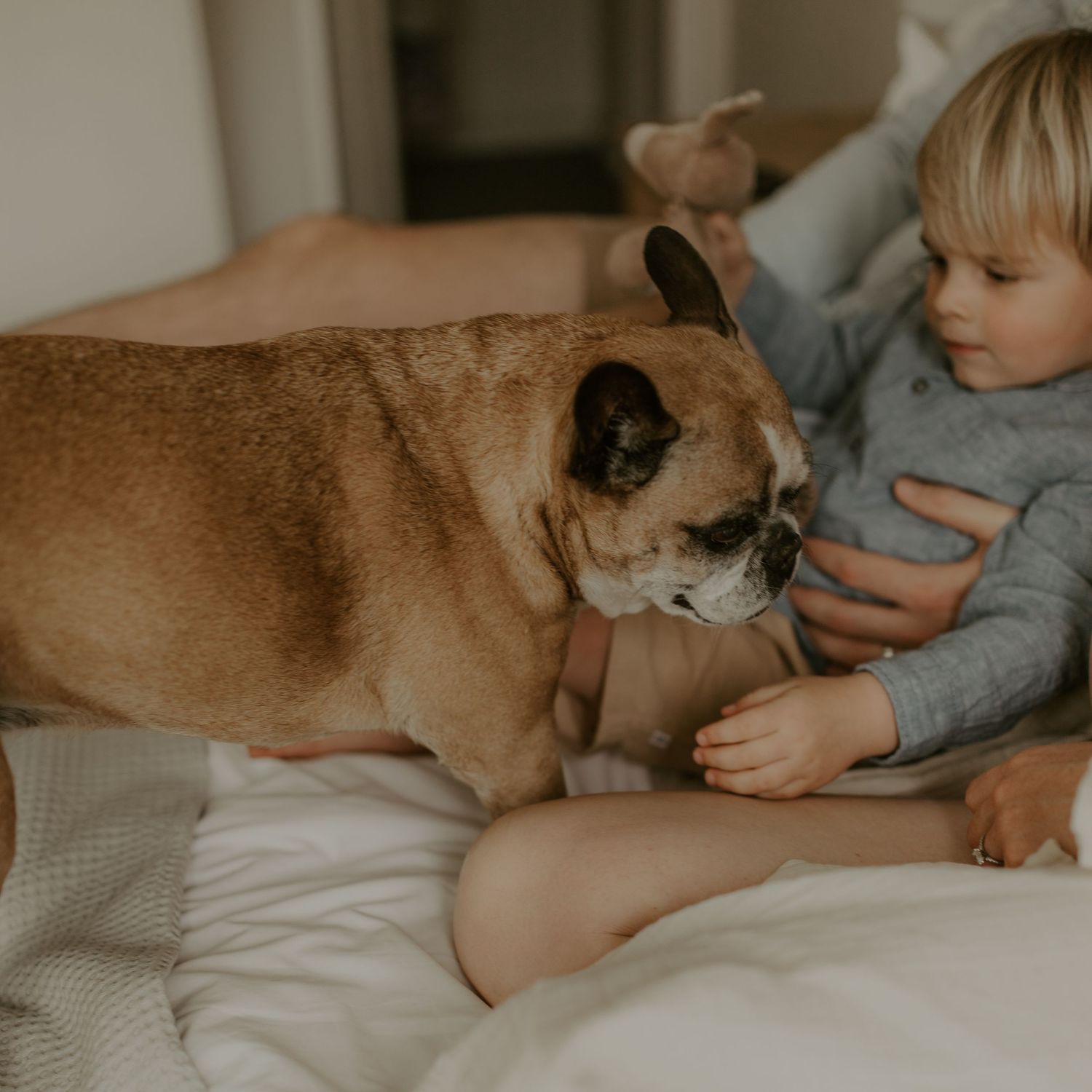 Natural family photography that captures real connection

Relaxed family photo sessions with genuine moments

Timeless family portraits you’