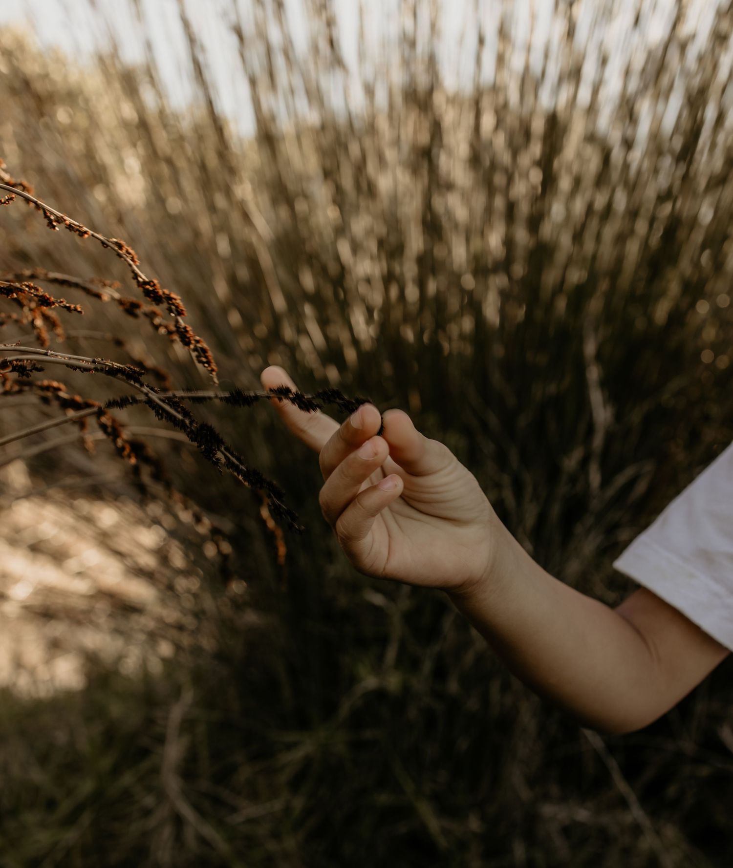 Documentary-style family photography.

Candid storytelling photography in the Western Cape
Travel photography sessions