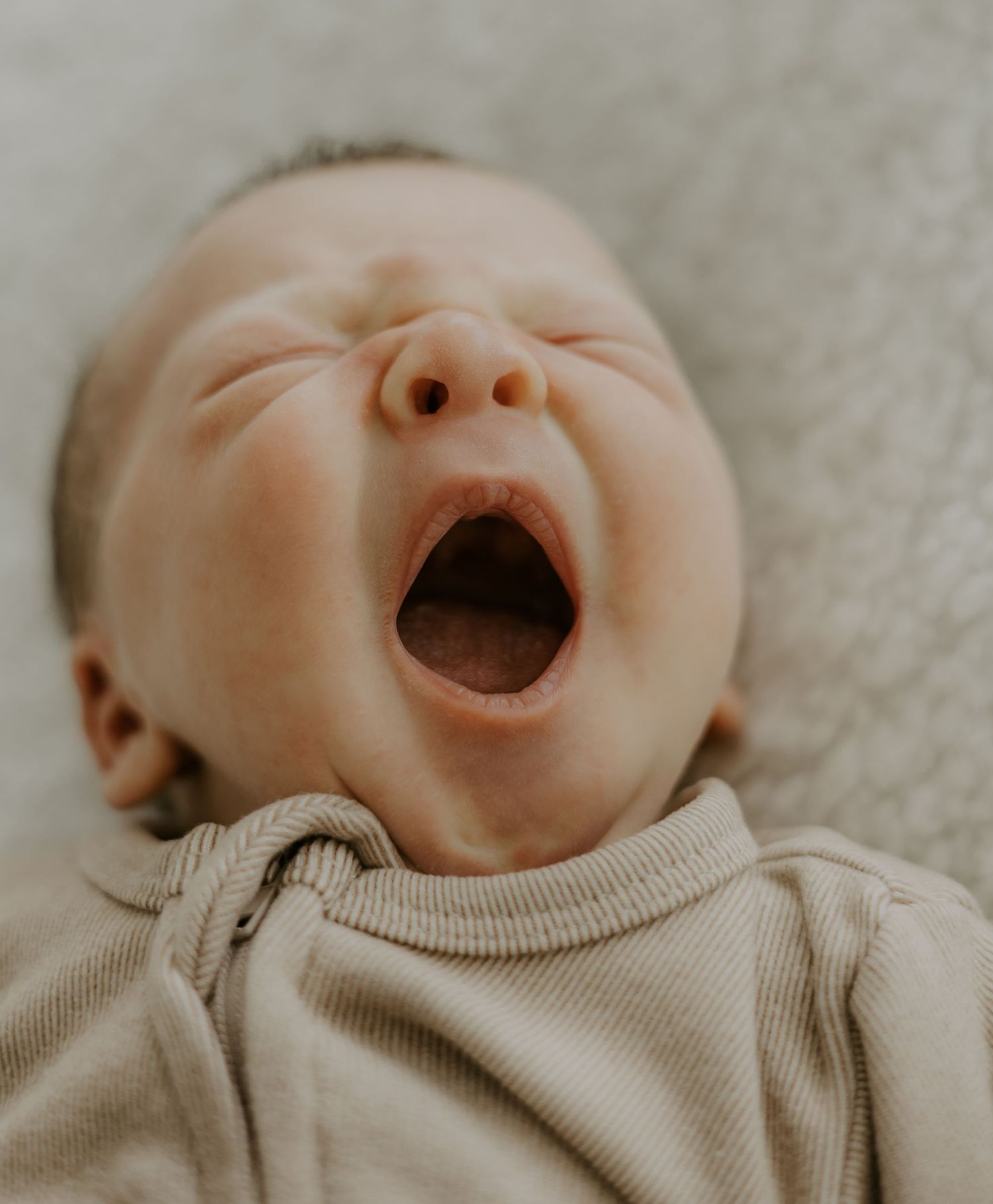 newborn baby photographer Cape Town
newborn baby photography Cape Town
newborn portraits Cape Town