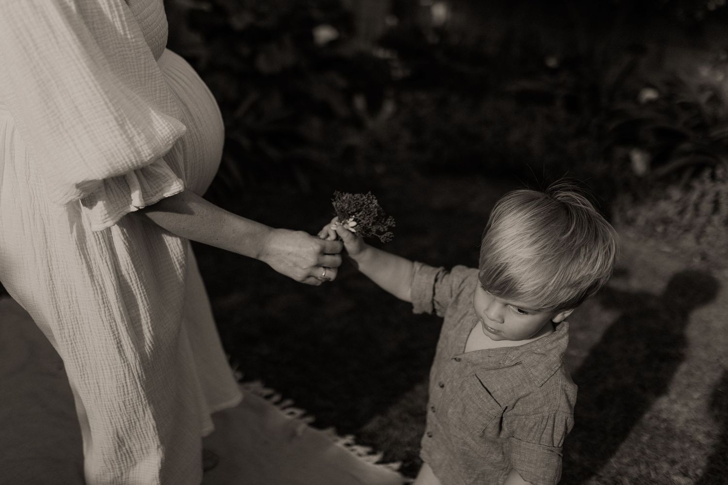 Lifestyle maternity photography in Cape Town homes