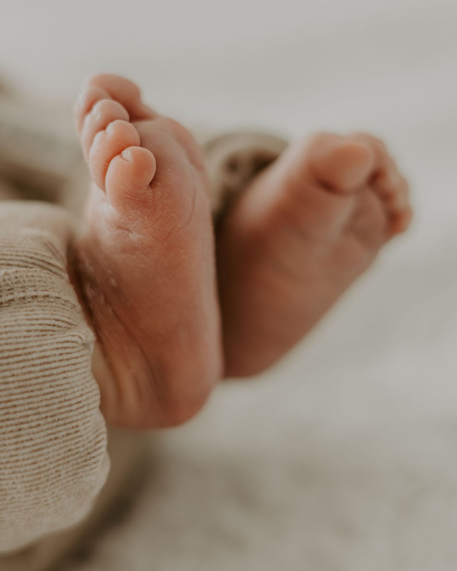 newborn photographer Helderberg
newborn photography Helderberg
newborn photographer near Cape Town