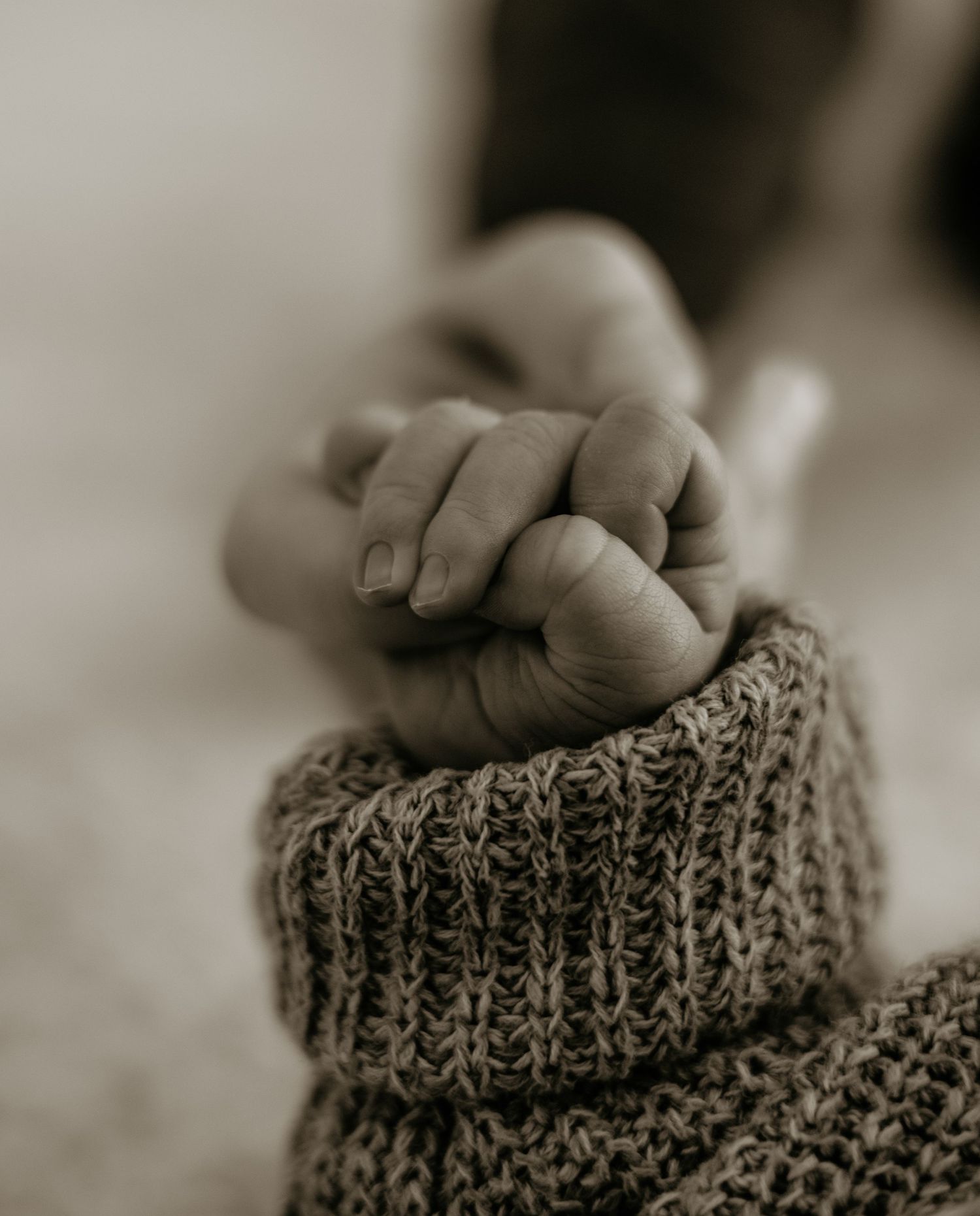 lifestyle newborn photographer Cape Town
natural newborn photographer Cape Town
natural newborn photography Cape Town