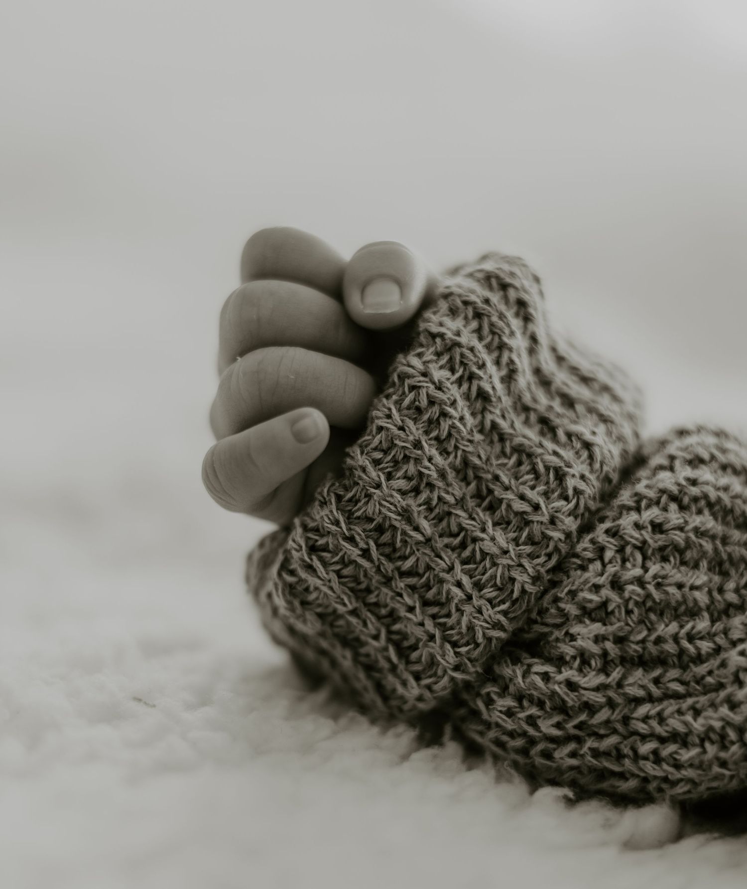 natural newborn photography Cape Town
newborn family photographer Cape Town
newborn baby photographer Cape Town