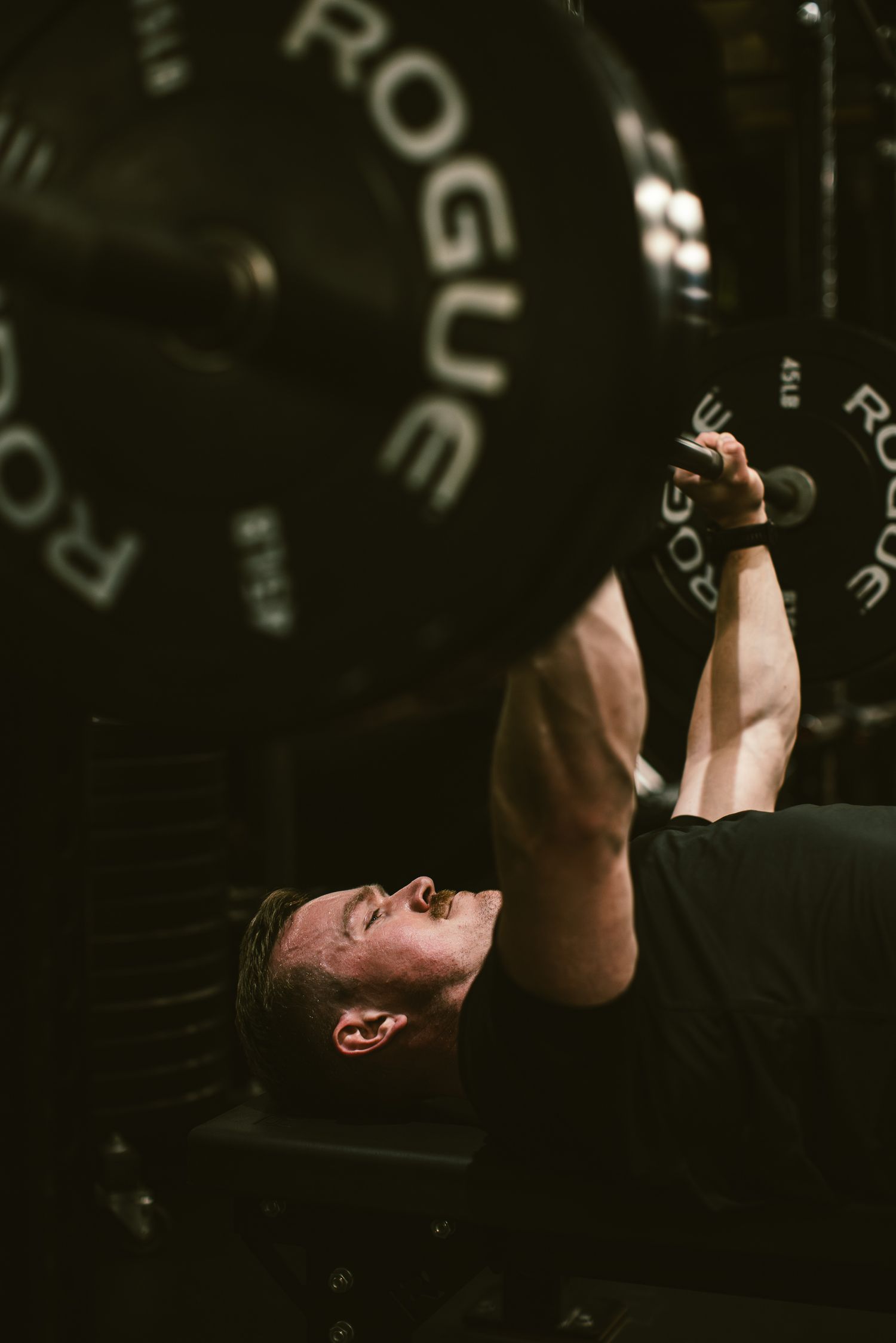 Man performing bench press with heavy Rogue barbell weights in dark gym setting.