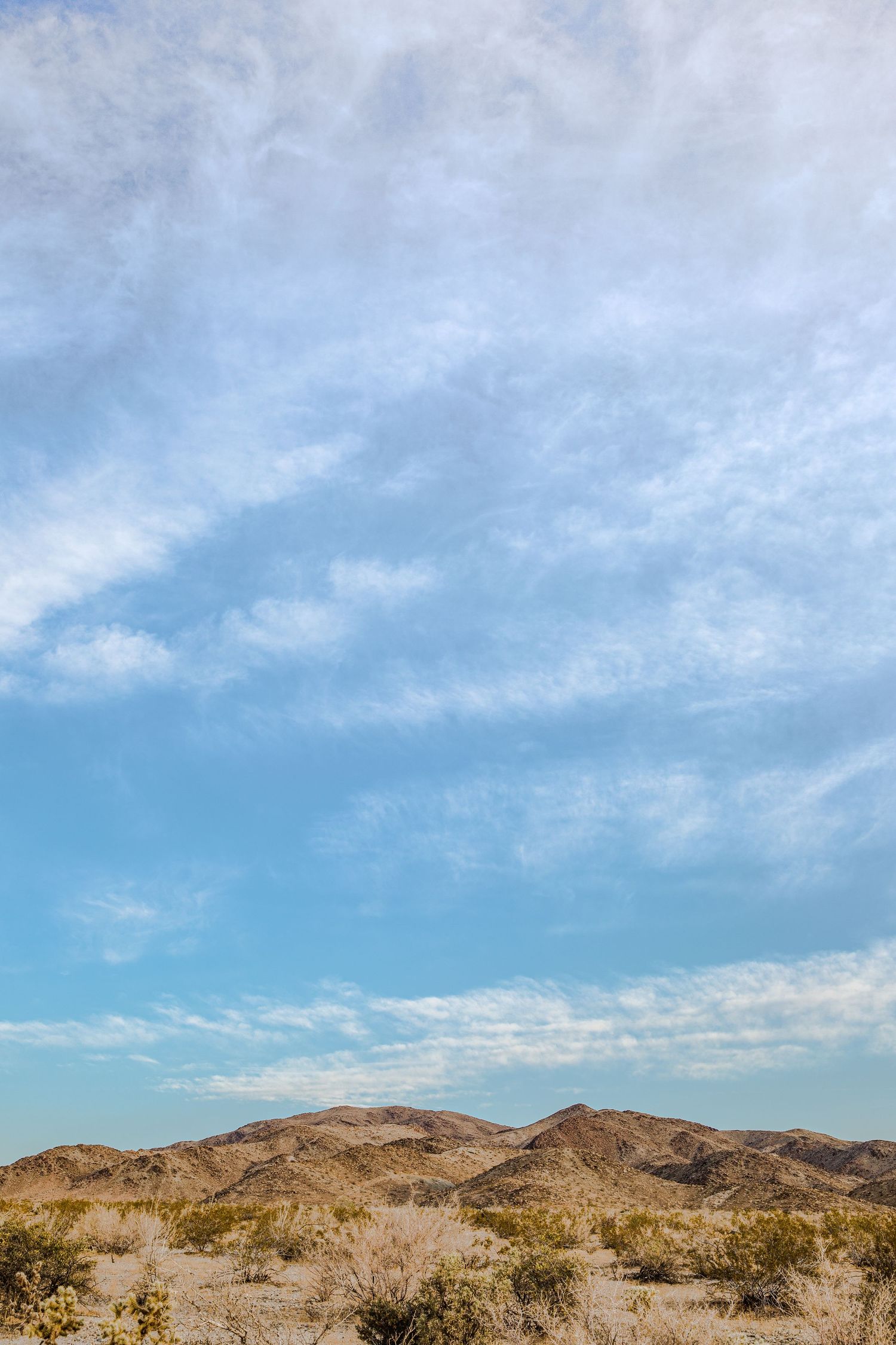 Arid desert landscape with low shrubs and rolling hills under a partly cloudy blue sky.