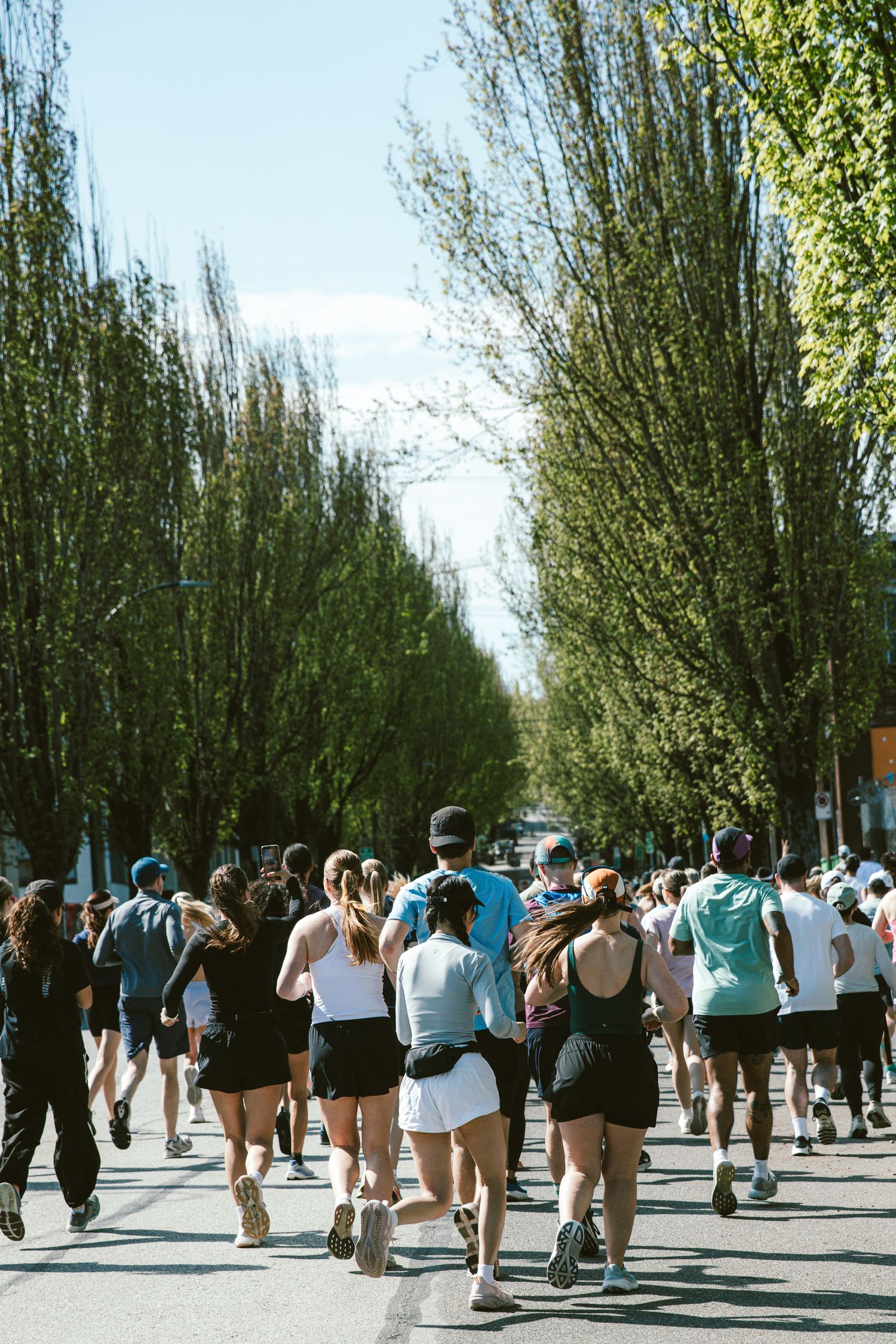 Crowd of runners racing down a tree-lined street on a sunny day during a city marathon event.