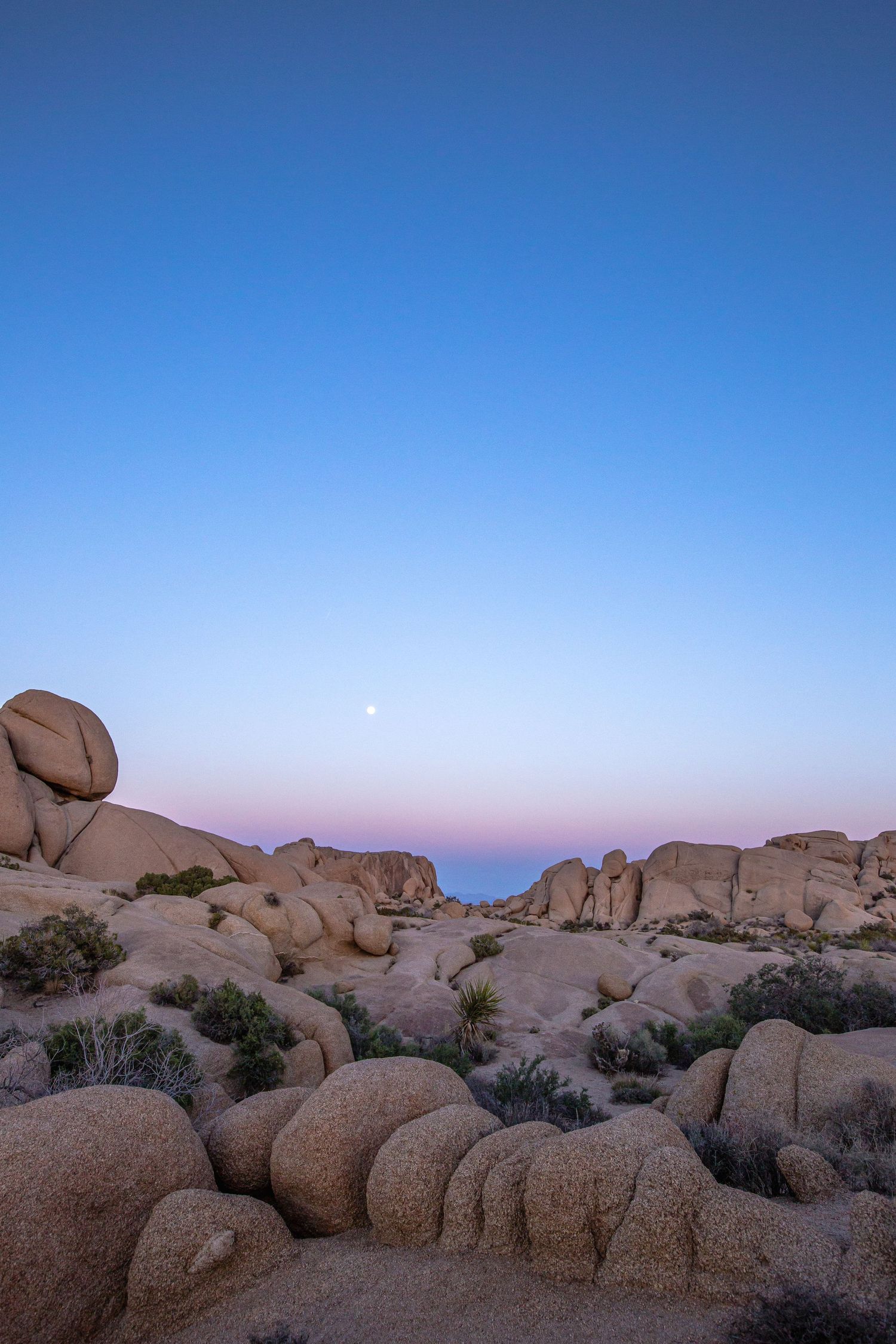 Smooth granite boulders at twilight with a full moon rising over the desert horizon in Joshua Tree.