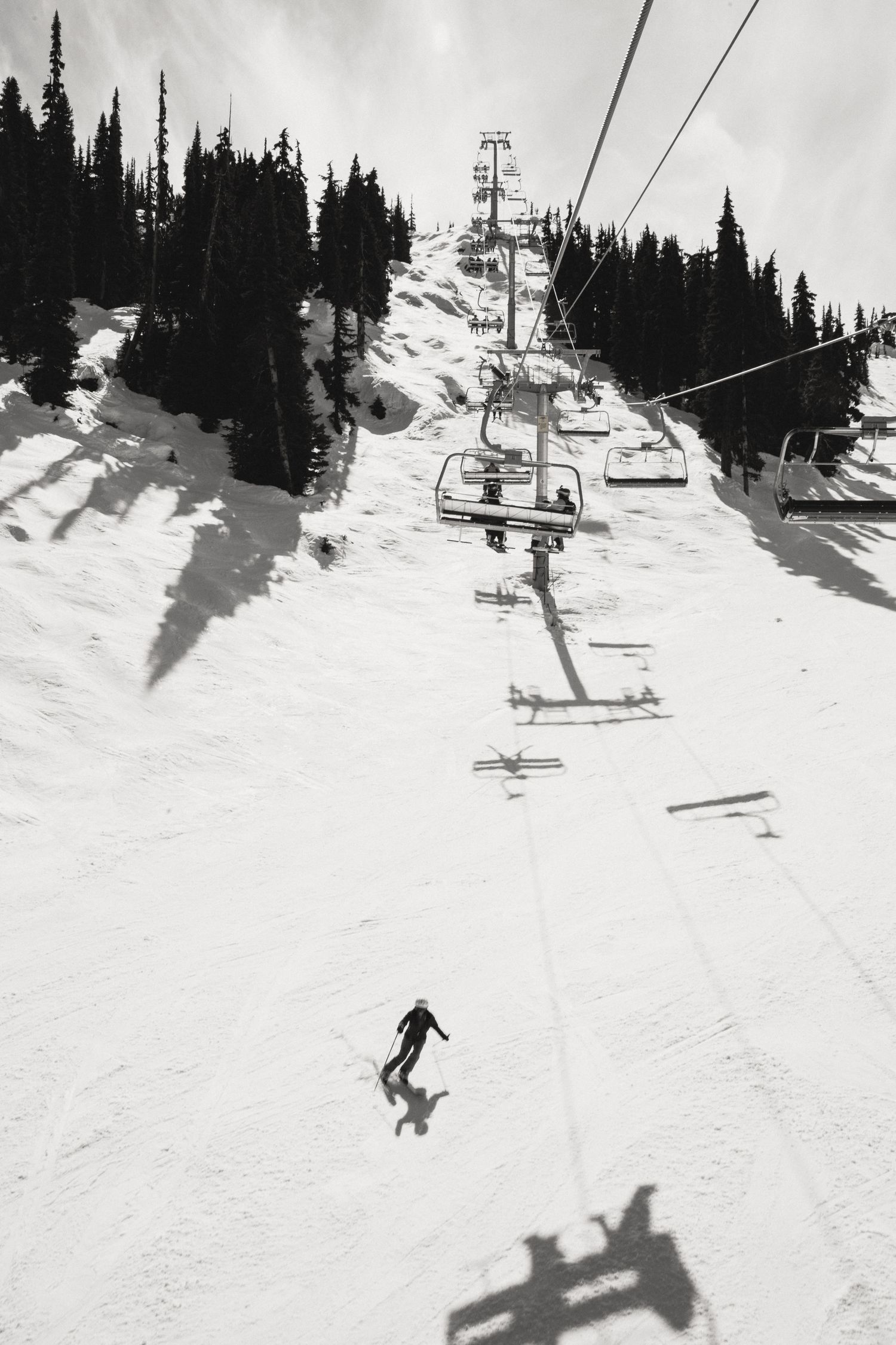 Black and white aerial view of skier descending slope beneath chairlift with pine trees.