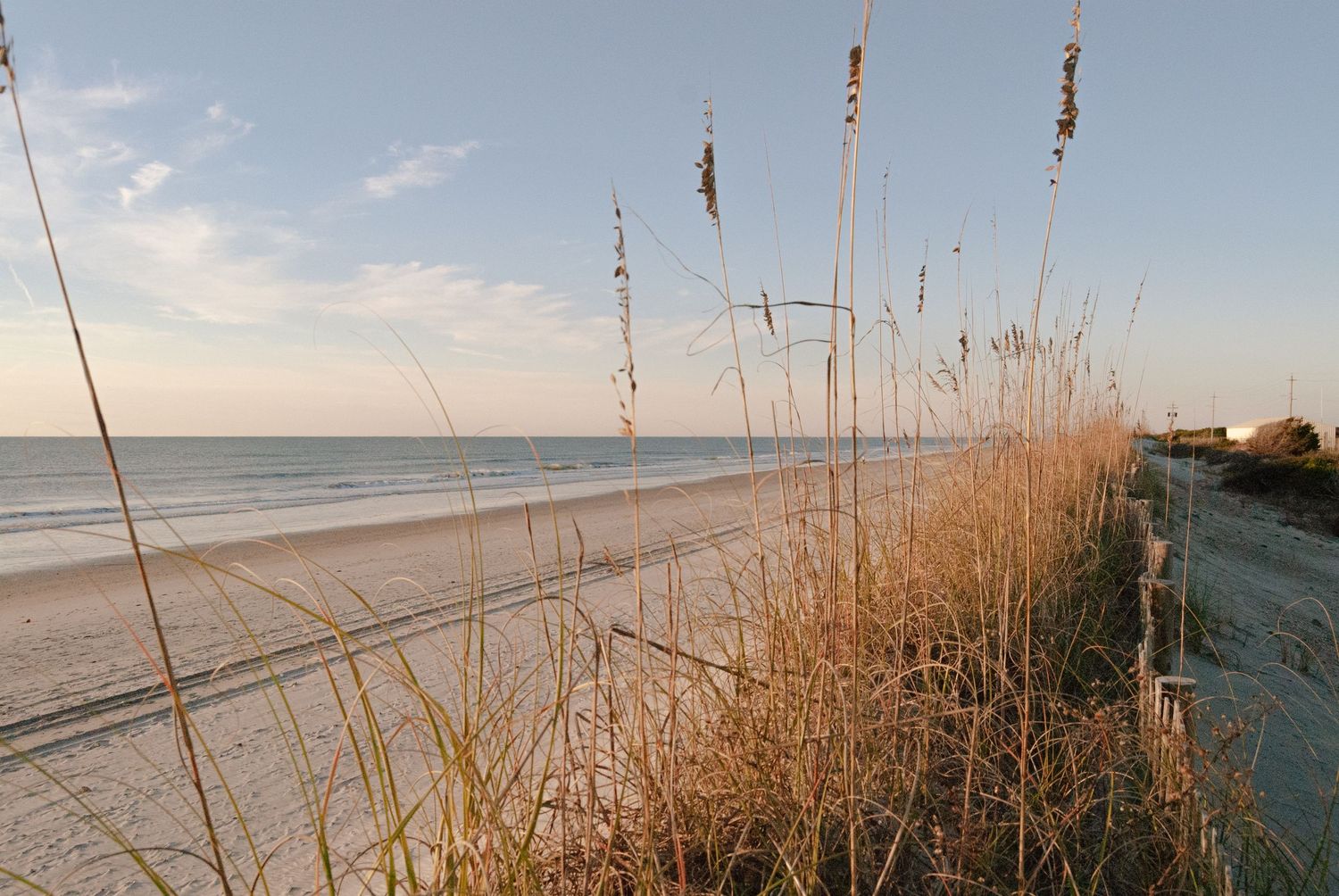 Tall sea oats grass lines a sandy beach shoreline at sunset with calm ocean waves and clear sky in background.