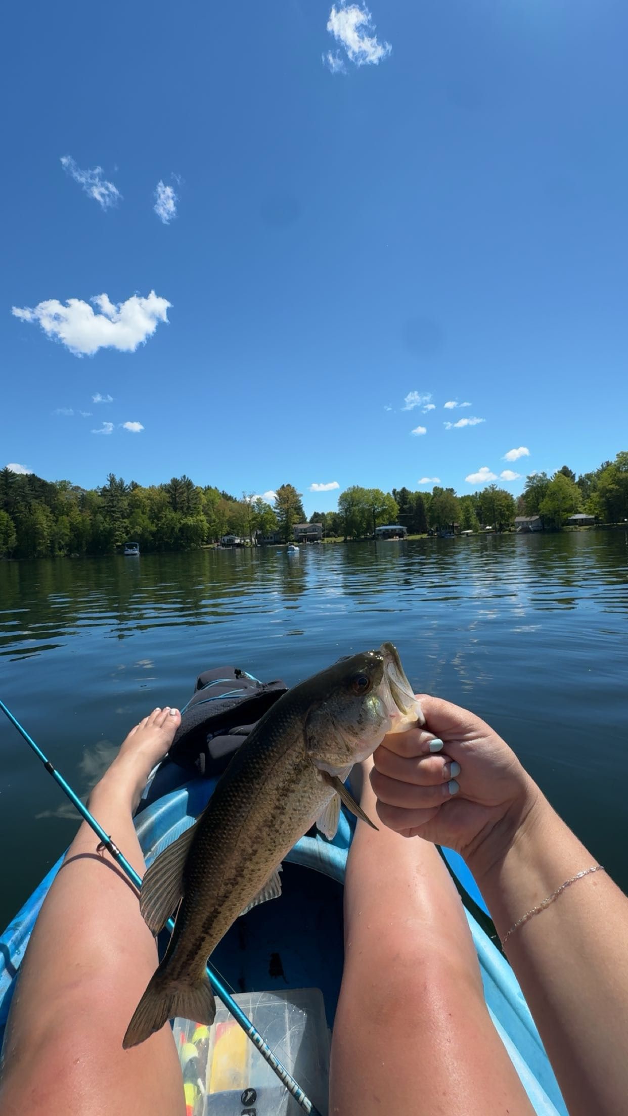 Person holding a freshly caught bass fish over a blue kayak on a calm lake with clear blue skies and green trees.